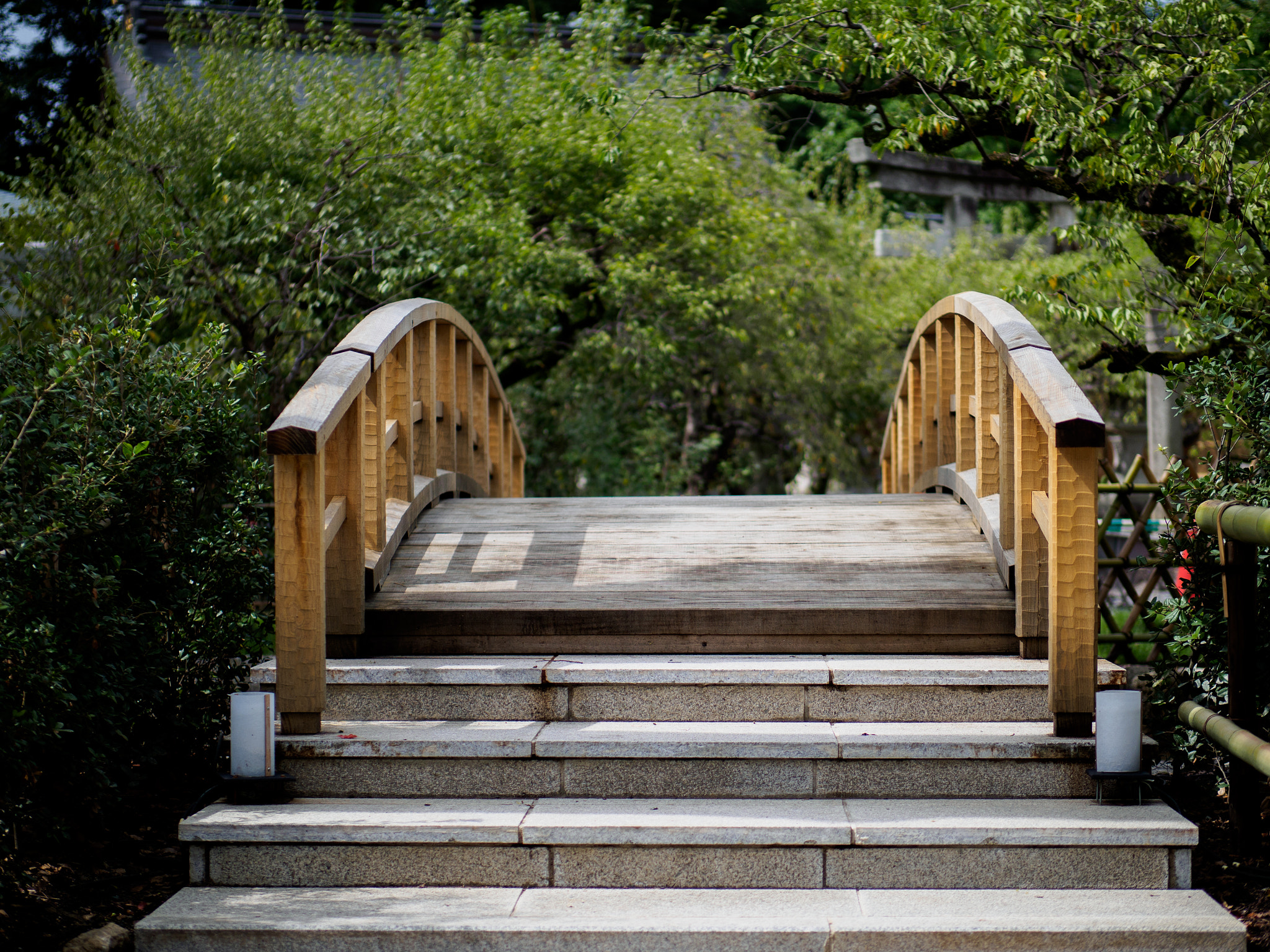 Panasonic Leica DG Nocticron 42.5mm F1.2 ASPH OIS sample photo. Olympus digital camera photography