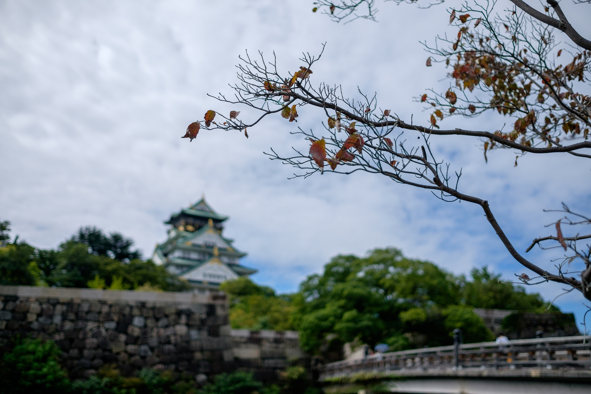 Fujifilm X-T10 + Fujifilm XF 23mm F1.4 R sample photo. Osaka () photography