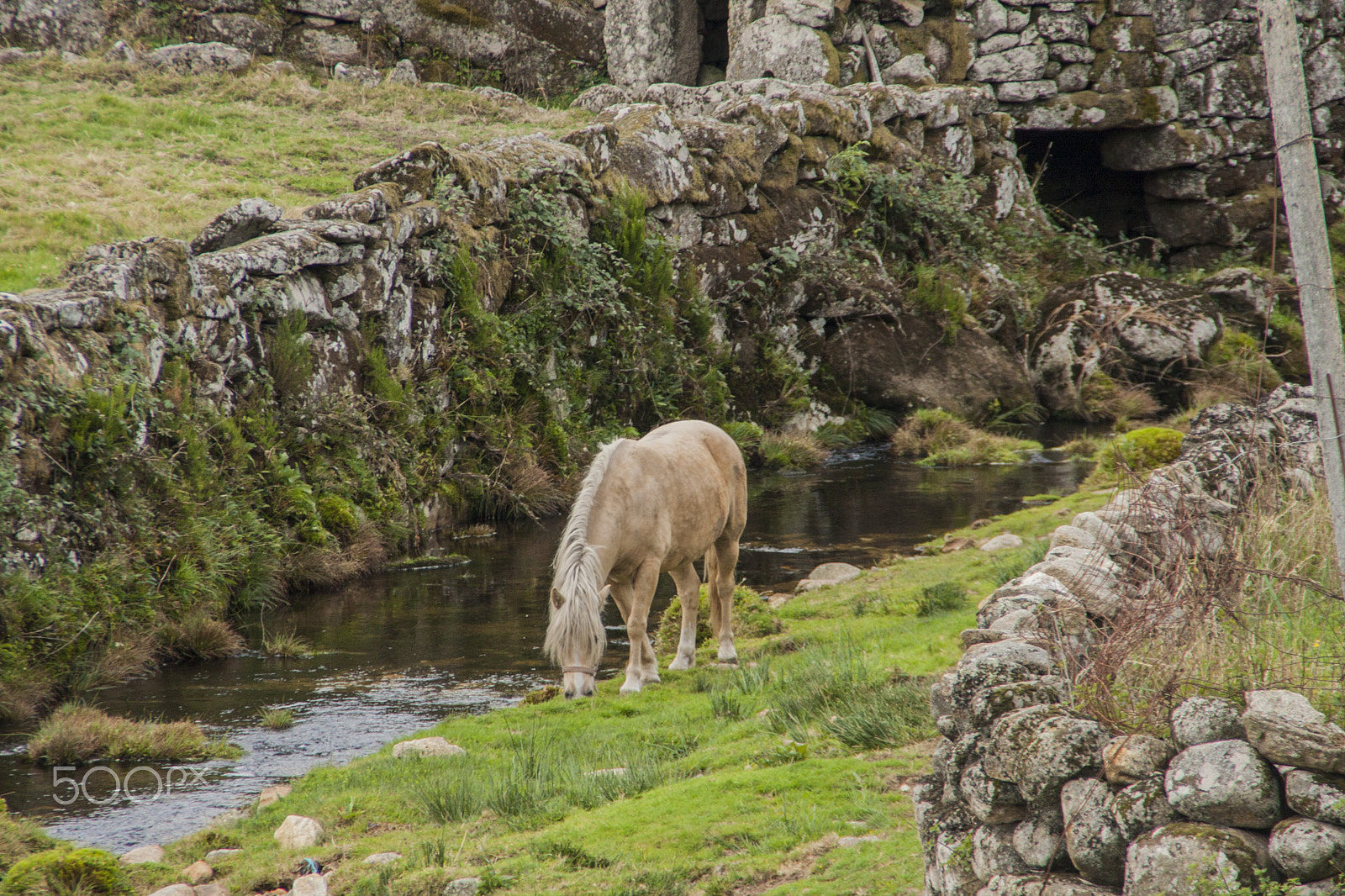 Canon EOS 40D sample photo. Serra da freita photography