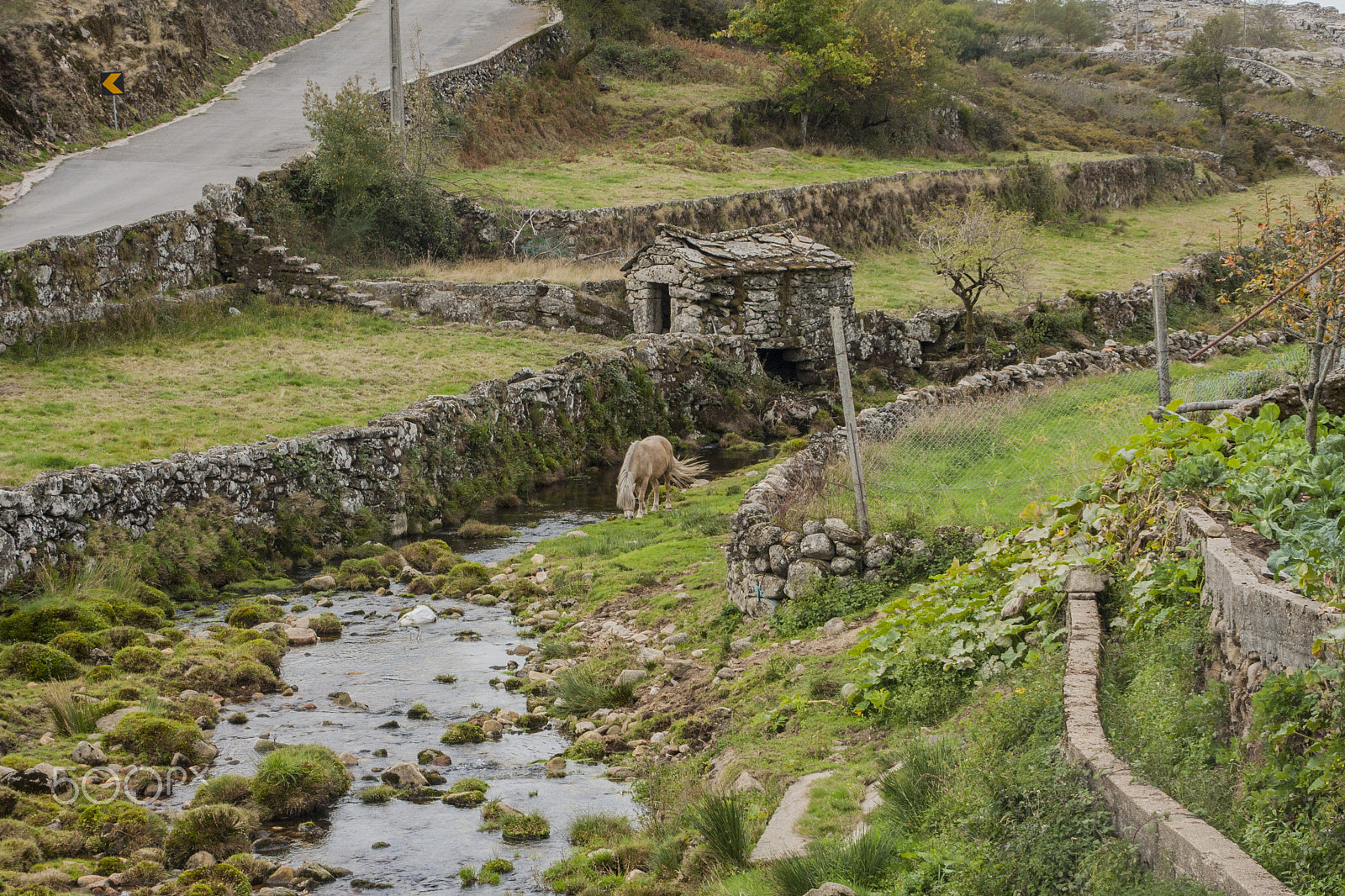 Canon EOS 40D sample photo. Serra da freita photography
