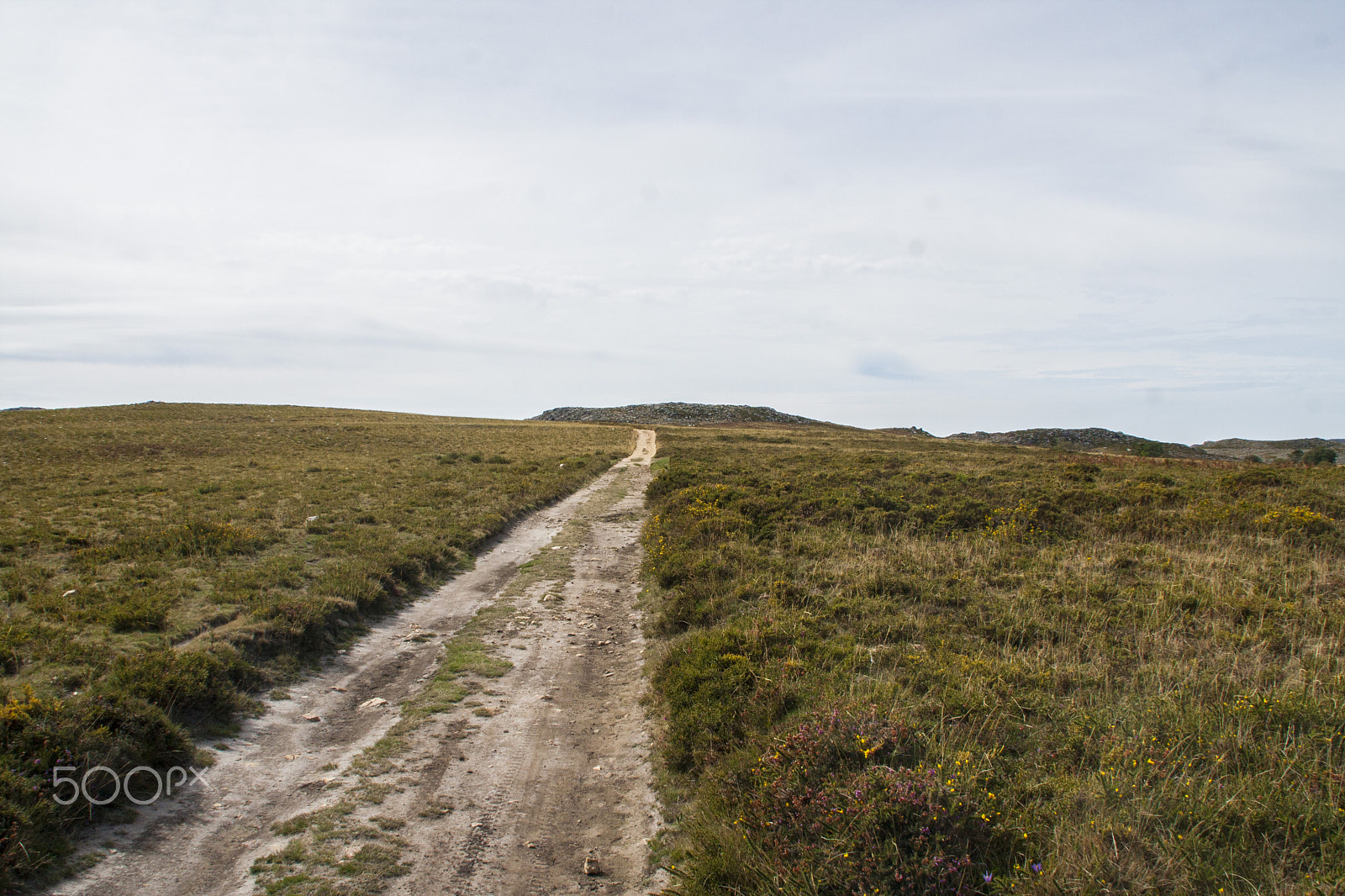 Canon EOS 40D sample photo. Serra da freita photography