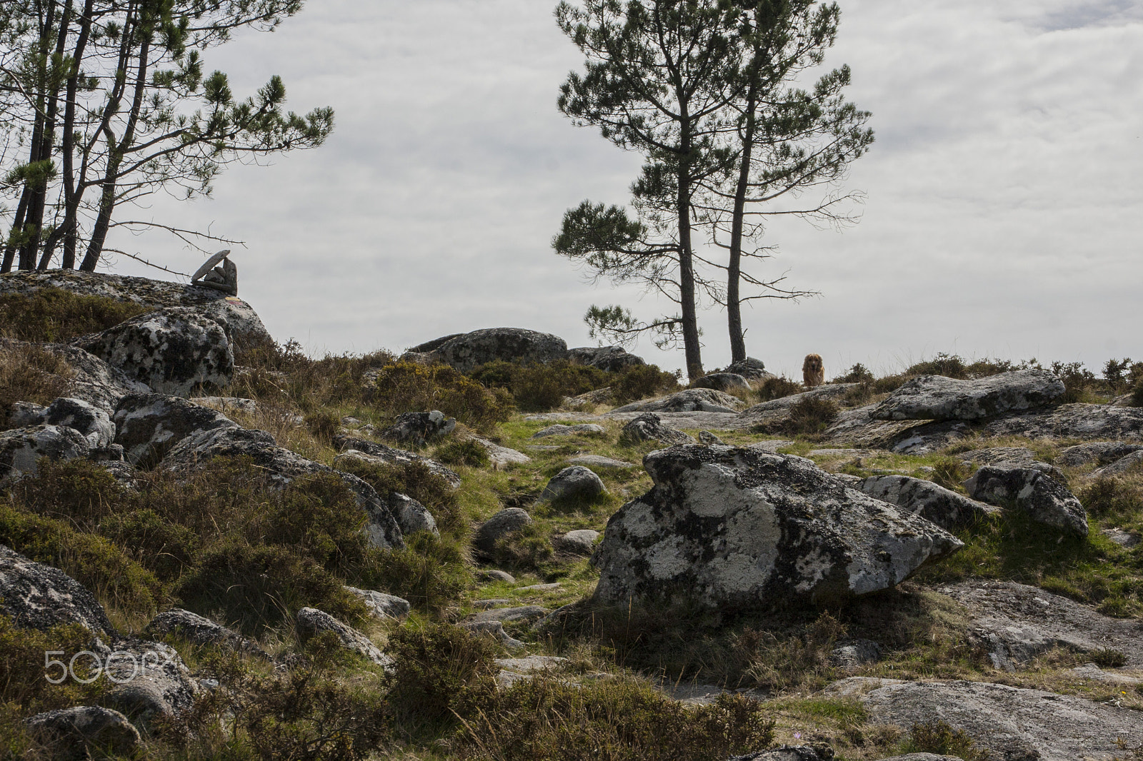 Canon EOS 40D sample photo. Serra da freita photography