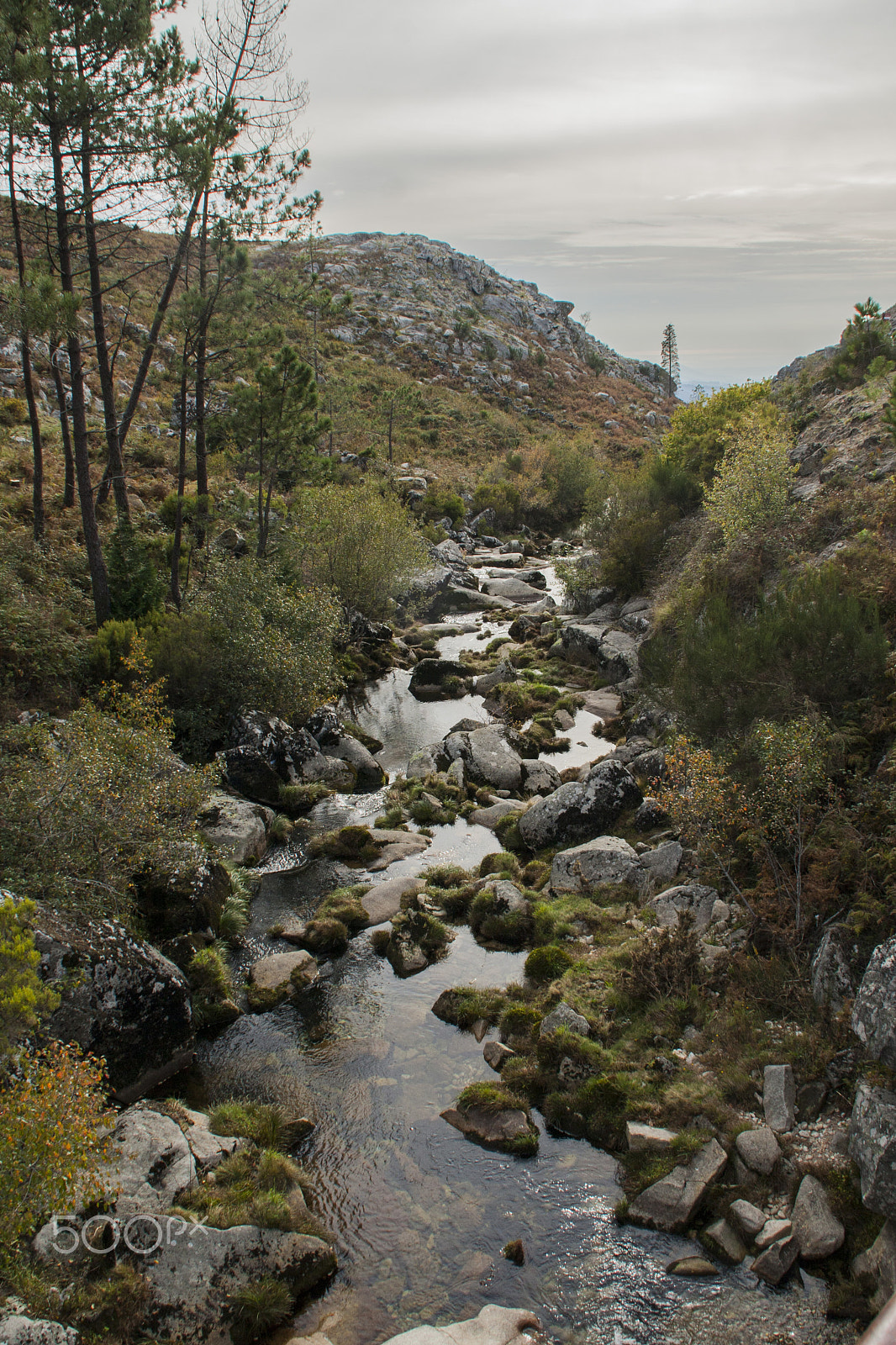 Canon EOS 40D sample photo. Serra da freita photography