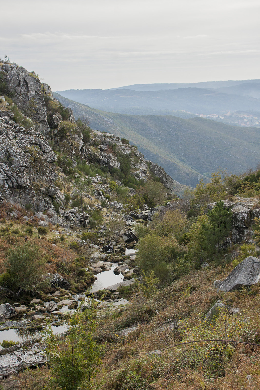 Canon EOS 40D sample photo. Serra da freita photography