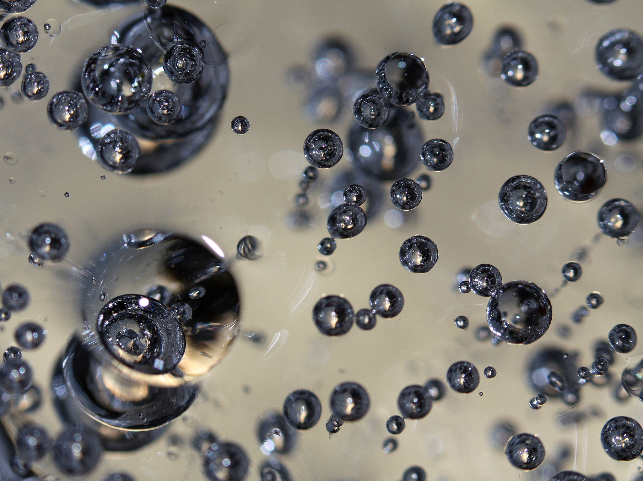 Canon EF 100mm F2.8 Macro USM sample photo. Zmrzlinky a photography