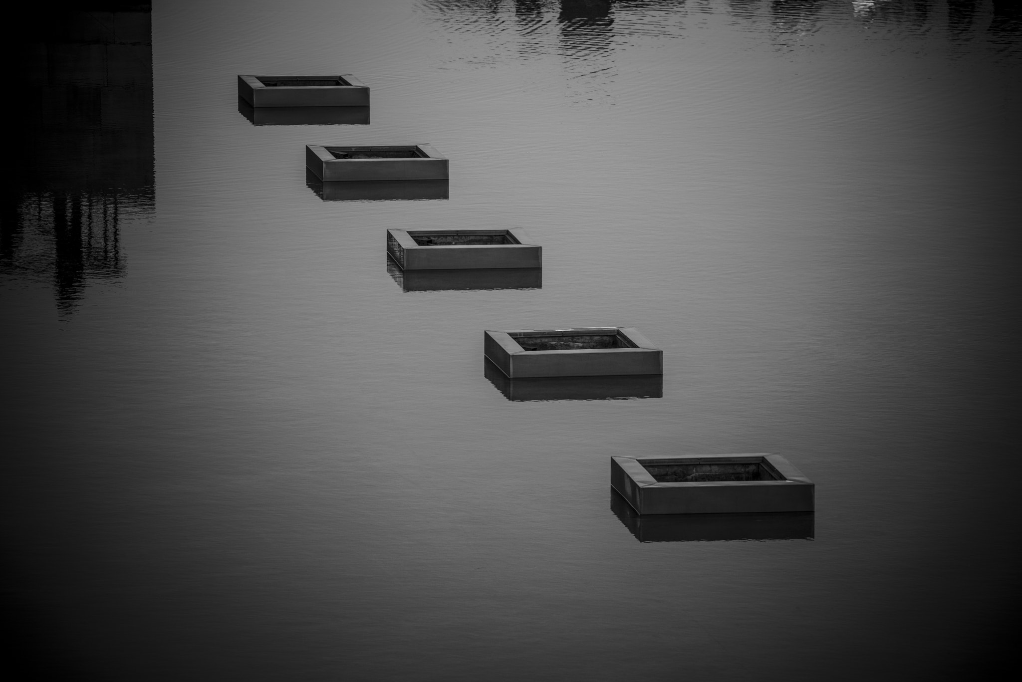 Sigma 50-500mm F4.5-6.3 DG OS HSM sample photo. Swimming squares photography