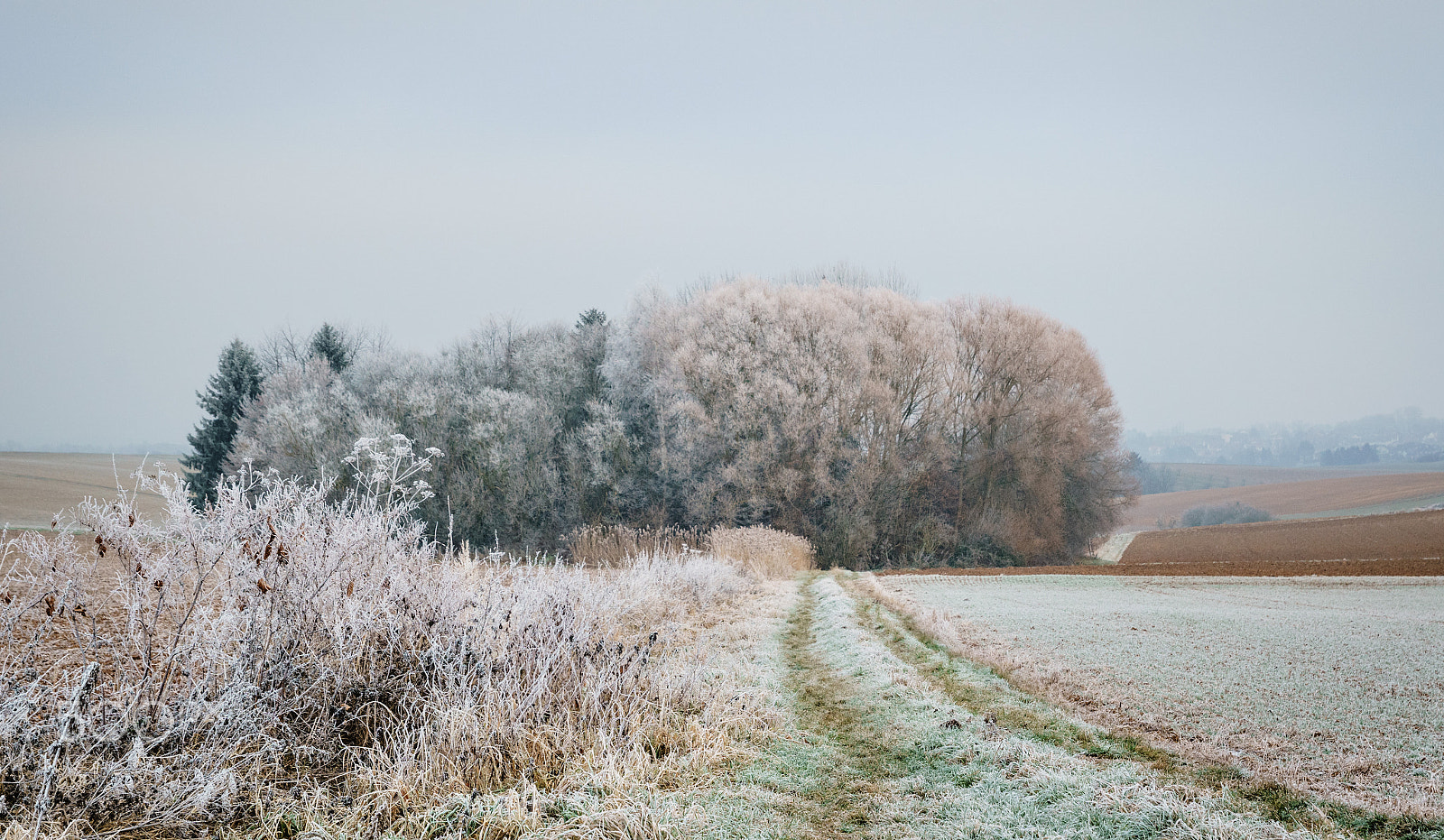 Sony ILCA-77M2 sample photo. Frozen photography