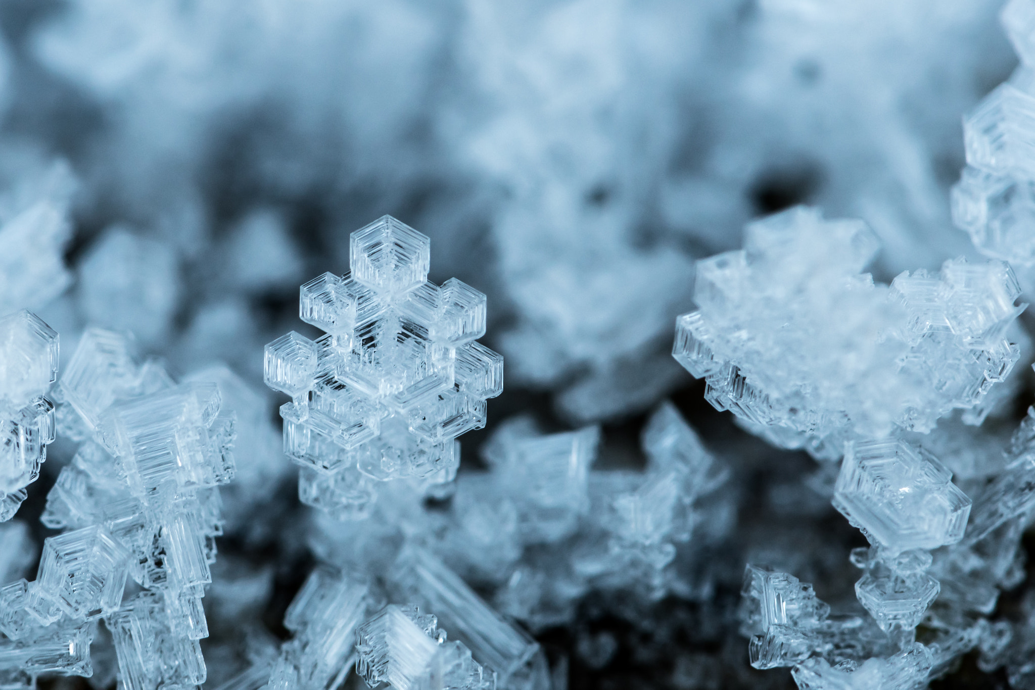 Nikon AF-S DX Micro-Nikkor 85mm F3.5G ED VR sample photo. Ice flowers photography