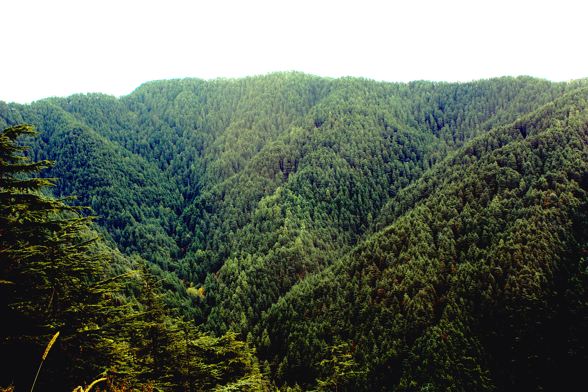 Canon EF 28-80mm f/3.5-5.6 sample photo. Simla mountains, india. photography