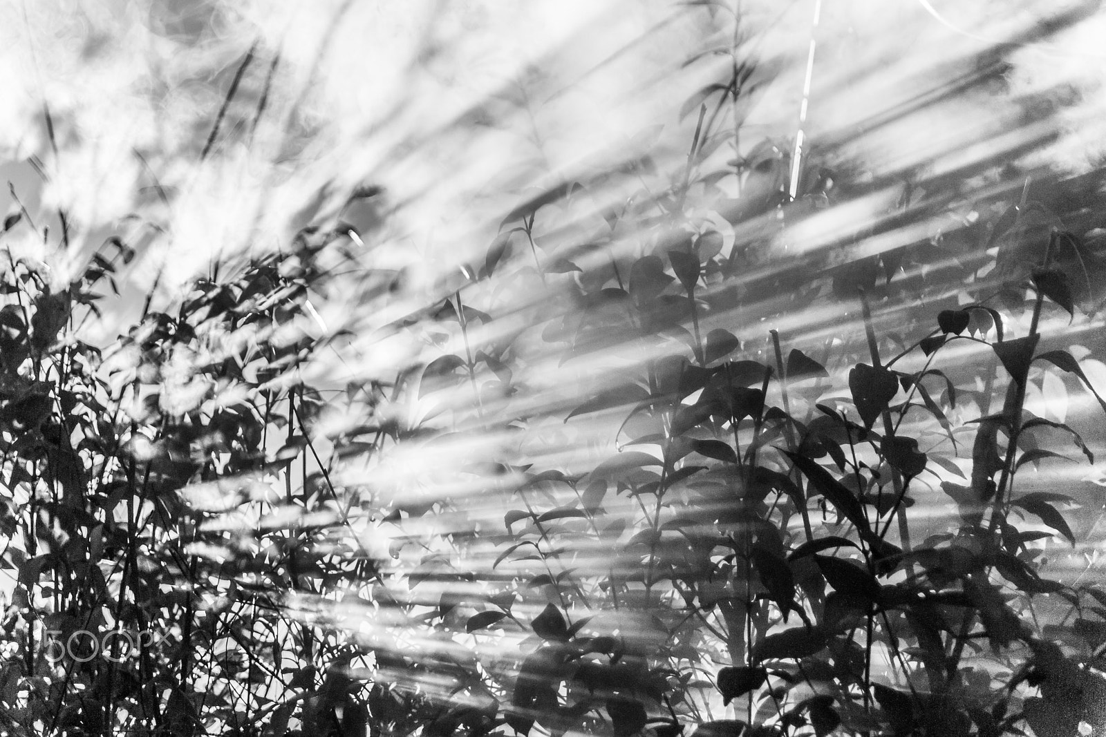 Minolta AF 24-85mm F3.5-4.5 [New] sample photo. Light and smoke photography