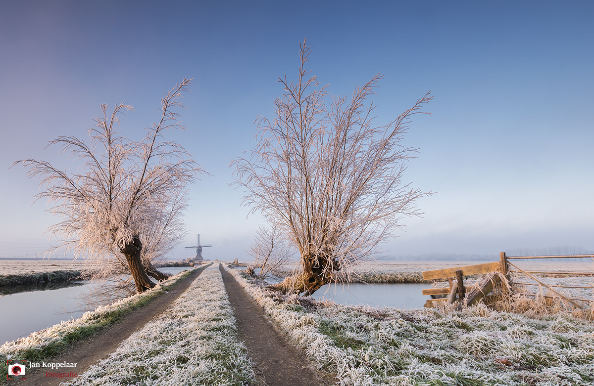 Sony ILCA-77M2 + Sigma 10-20mm F3.5 EX DC HSM sample photo. White world photography