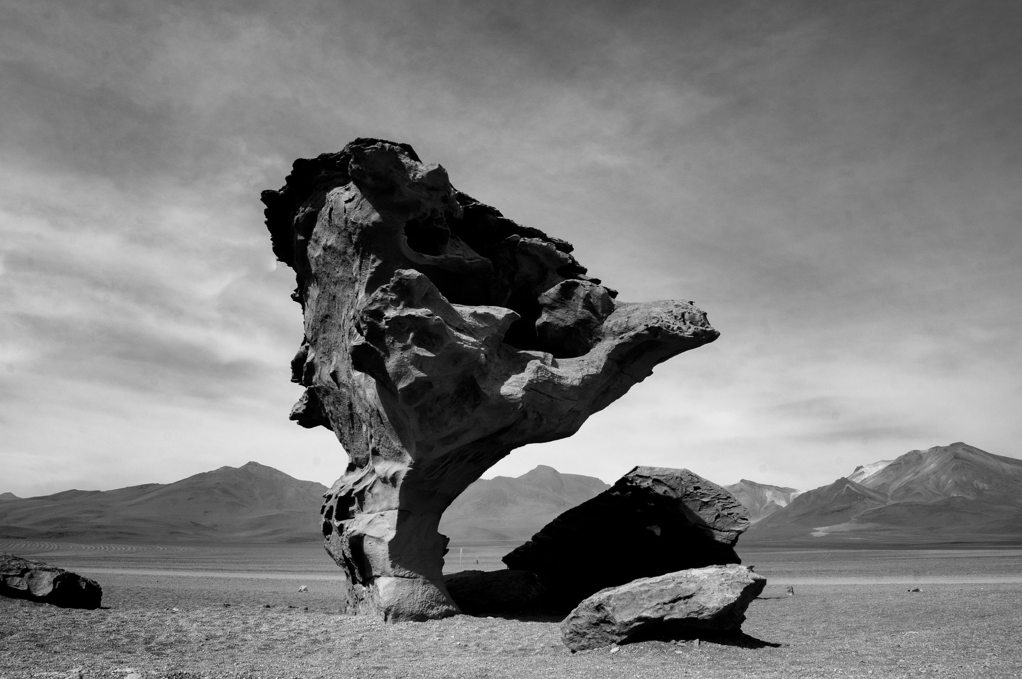 Sony SLT-A55 (SLT-A55V) sample photo. The rock tree photography