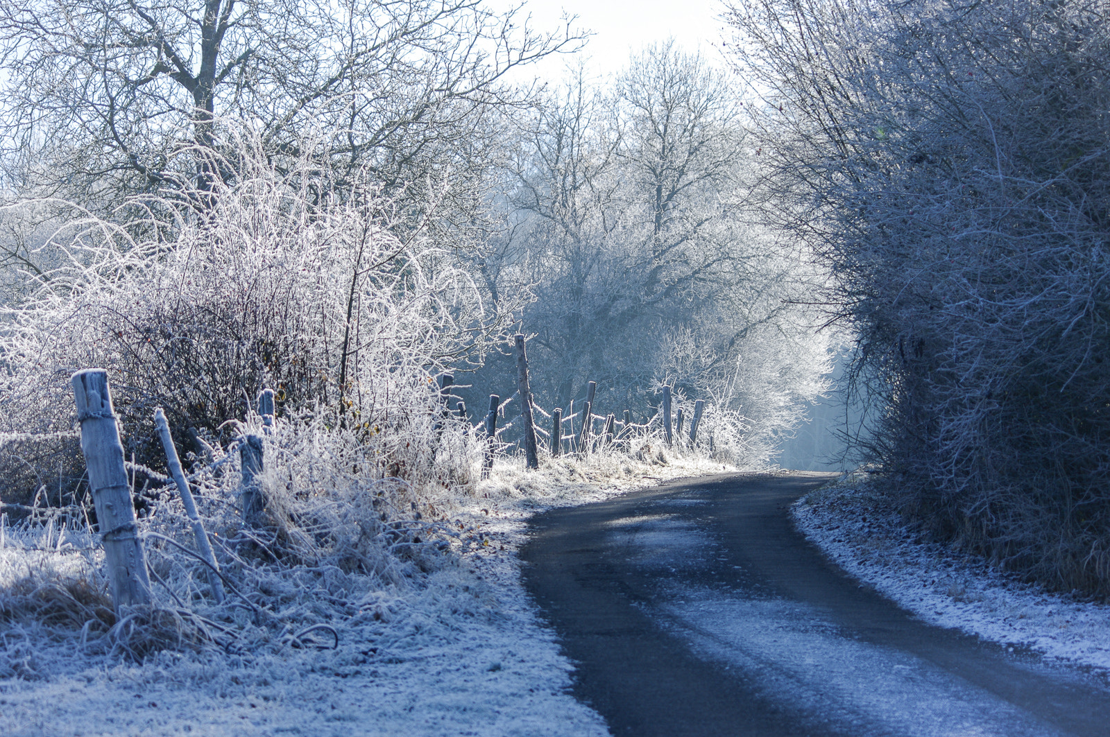 Pentax K20D sample photo. Icy path photography