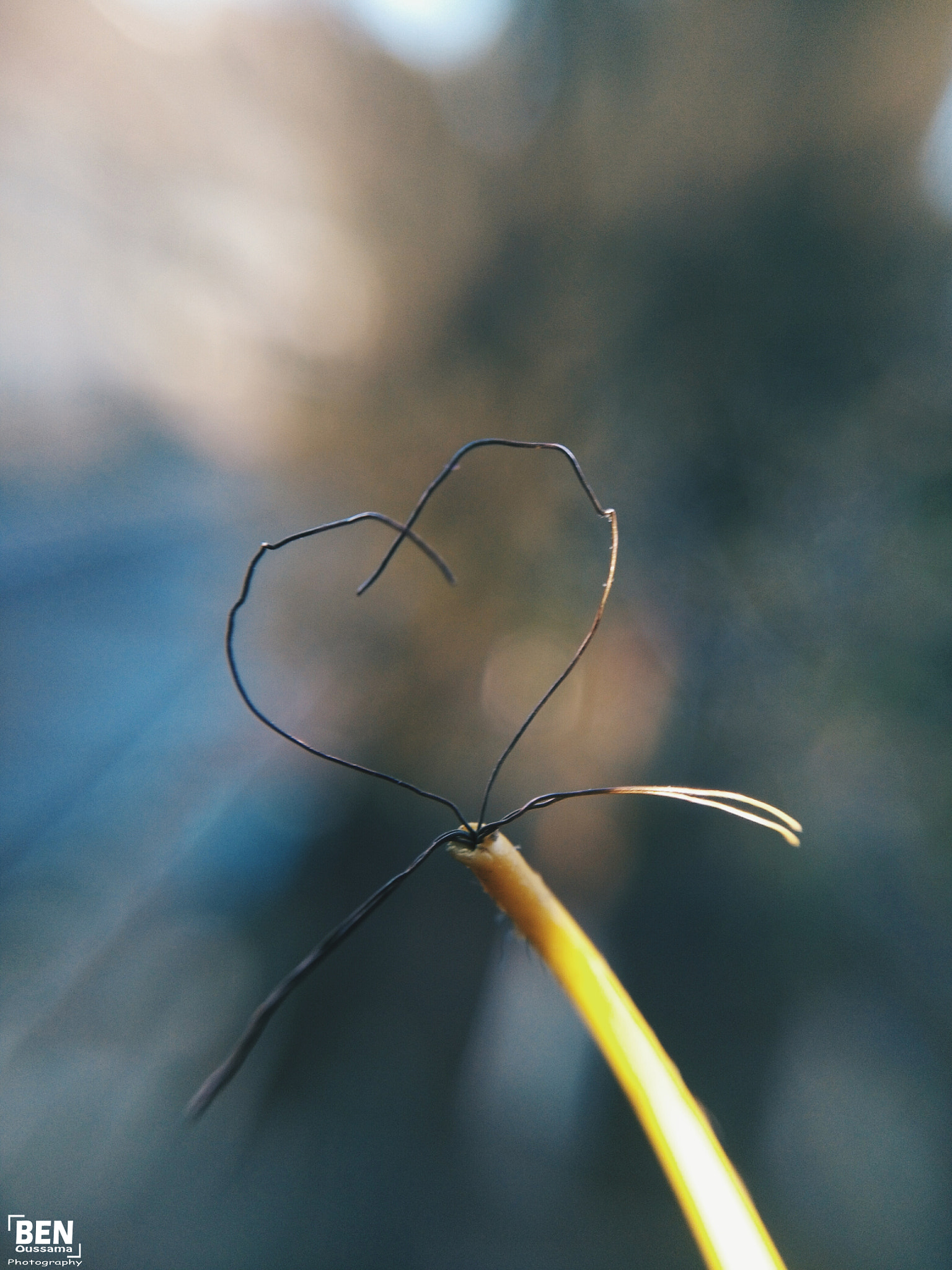 HUAWEI GR5 sample photo. Processed with vsco with hb2 preset photography