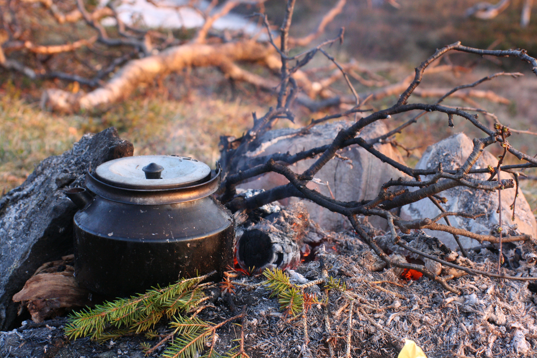 Sigma 50-200mm F4-5.6 DC OS HSM sample photo. Campfire coffe photography