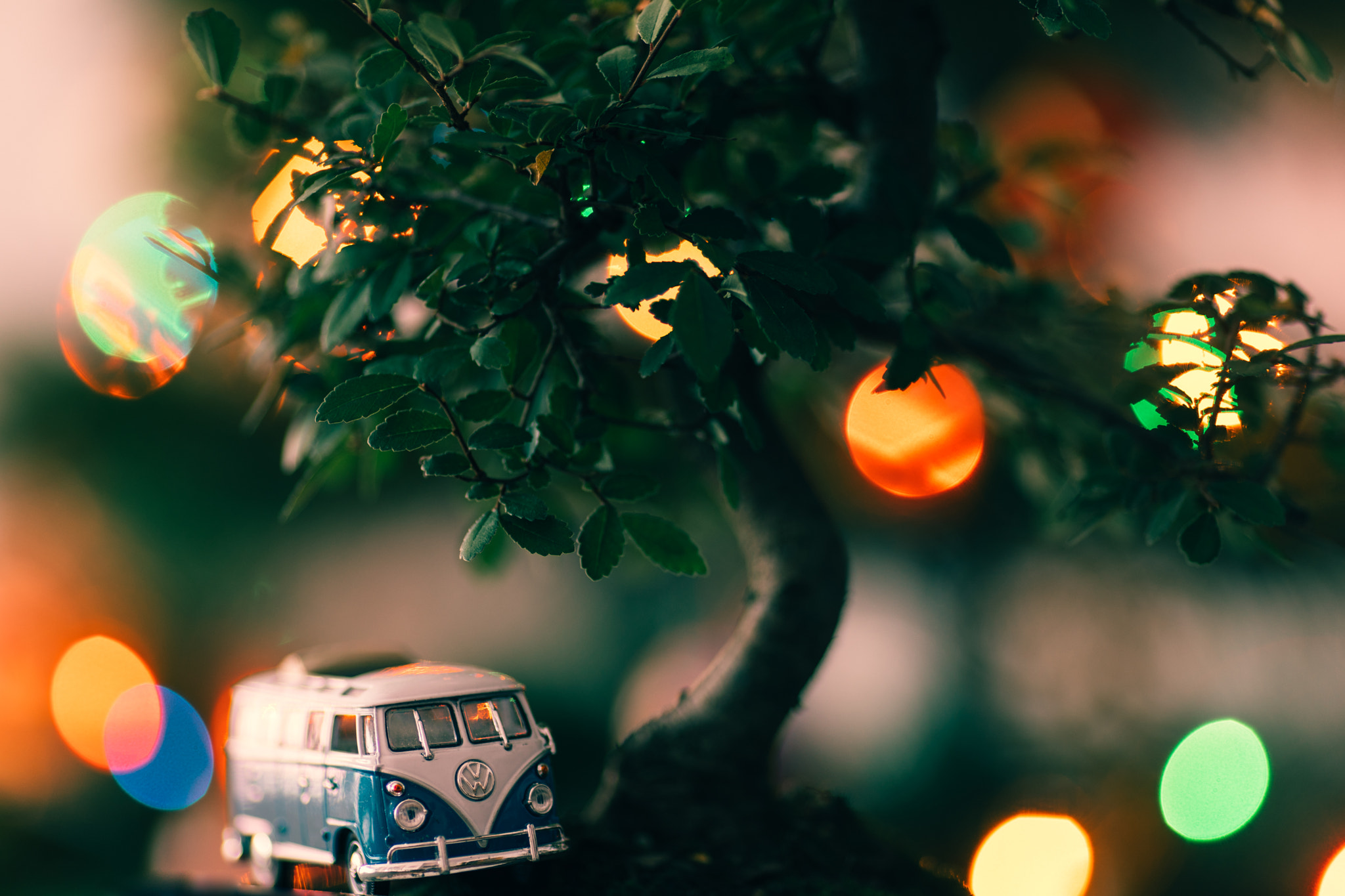 Canon EOS 5D Mark IV + Canon EF 135mm F2L USM sample photo. Exploring in a new year photography