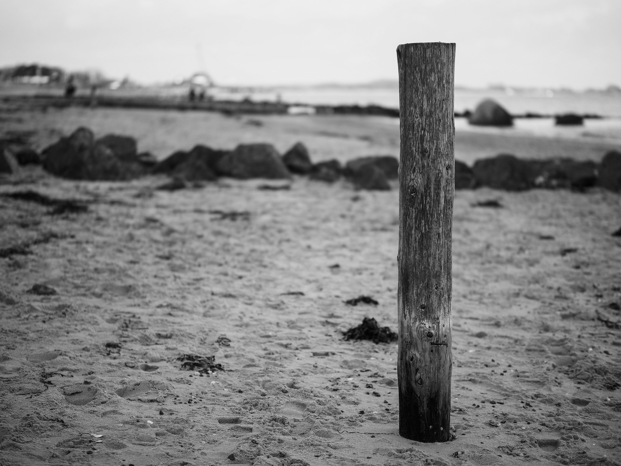 Panasonic Leica DG Nocticron 42.5mm F1.2 ASPH OIS sample photo. Hohwacht photography