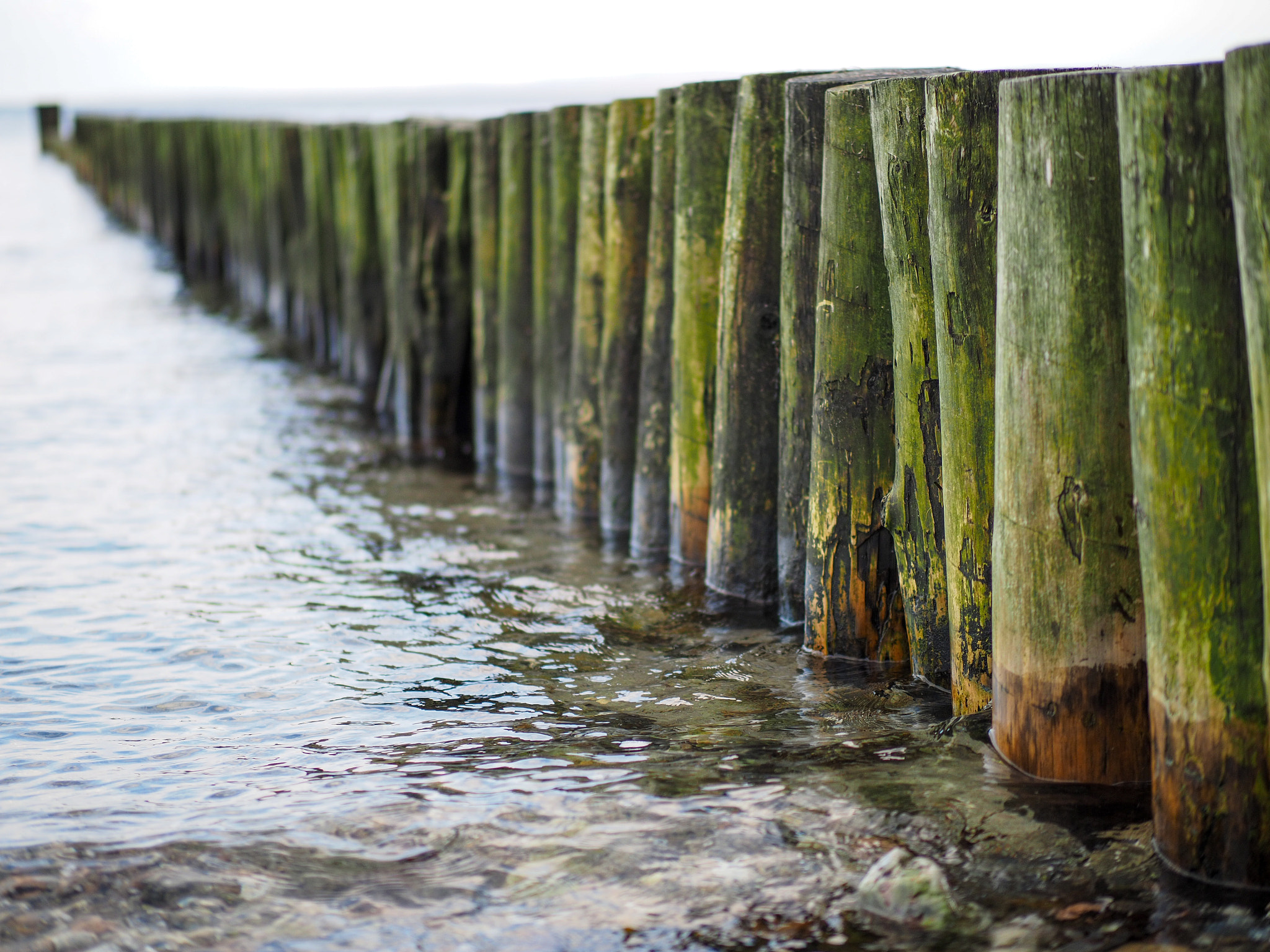 Panasonic Leica DG Nocticron 42.5mm F1.2 ASPH OIS sample photo. Hohwacht photography