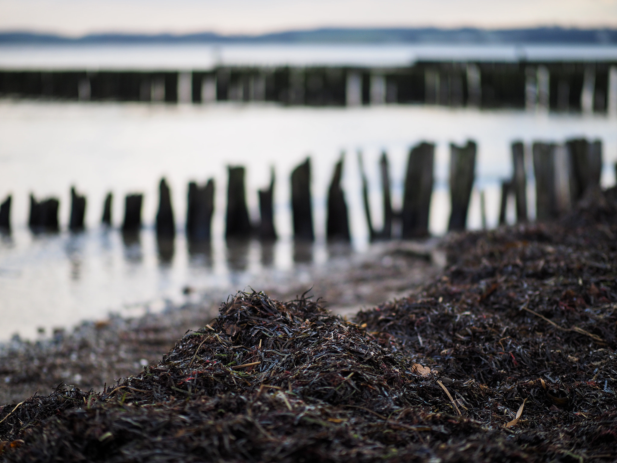 Panasonic Leica DG Nocticron 42.5mm F1.2 ASPH OIS sample photo. Hohwacht photography