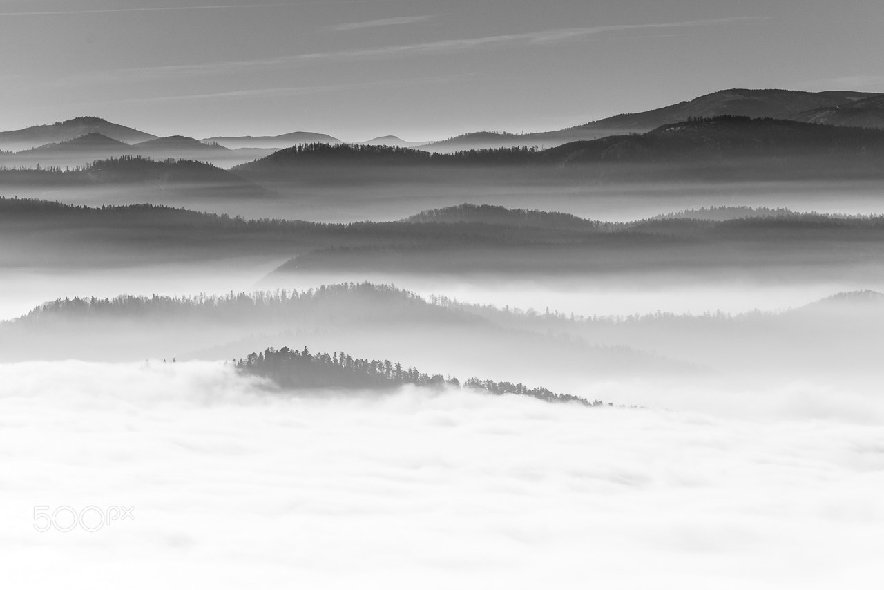 Nikon D600 sample photo. Bw photography