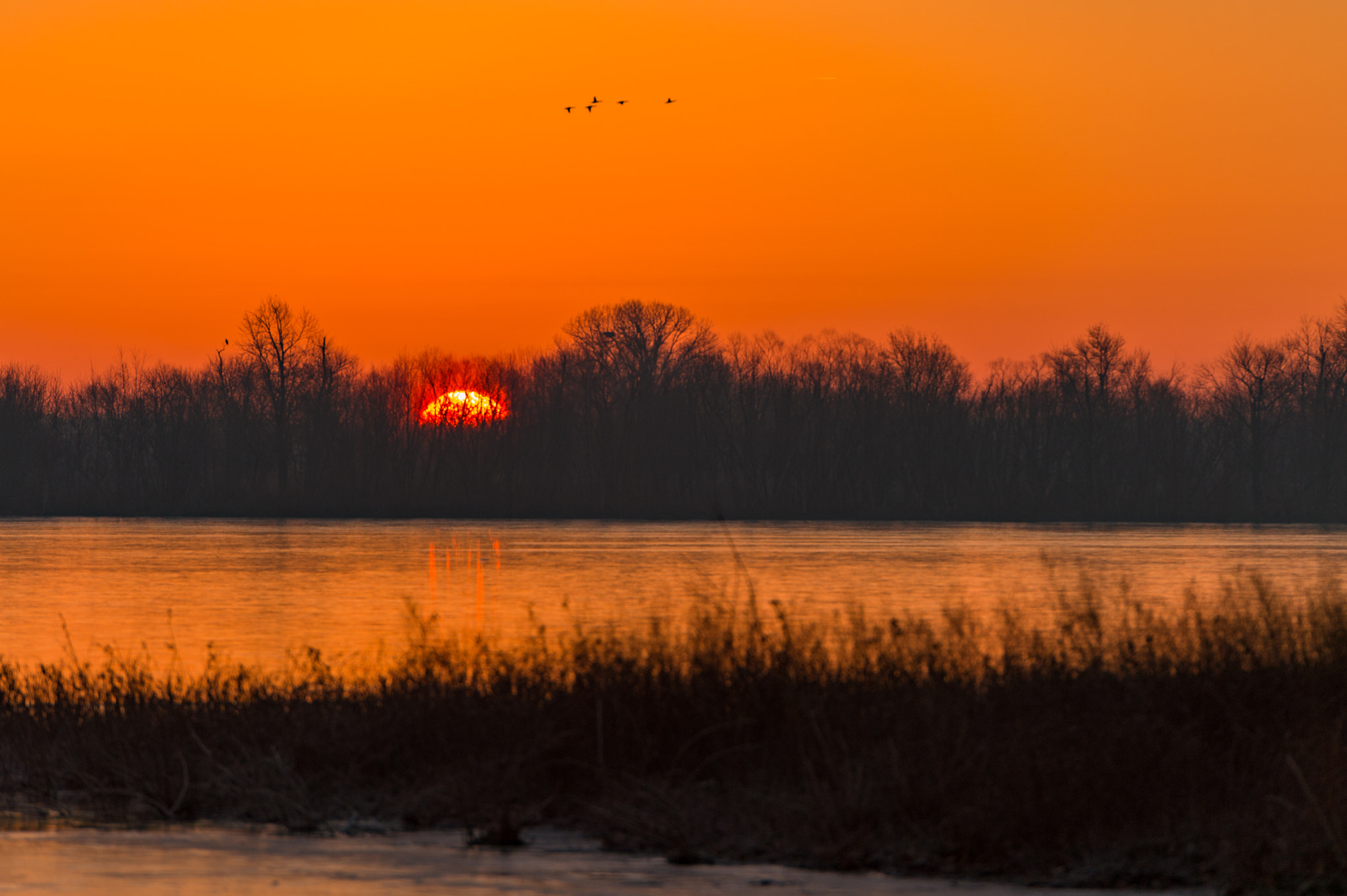 Nikon Df sample photo. New year's sunrise 2017 photography