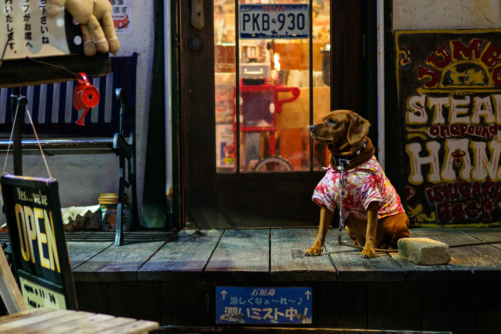 Olympus OM-D E-M10 II + Panasonic Leica DG Summilux 25mm F1.4 II ASPH sample photo. Olympus digital camera photography
