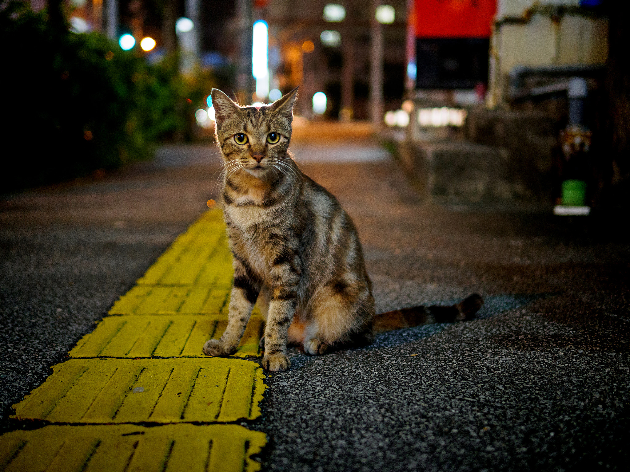 Panasonic Leica DG Summilux 25mm F1.4 II ASPH sample photo. Olympus digital camera photography