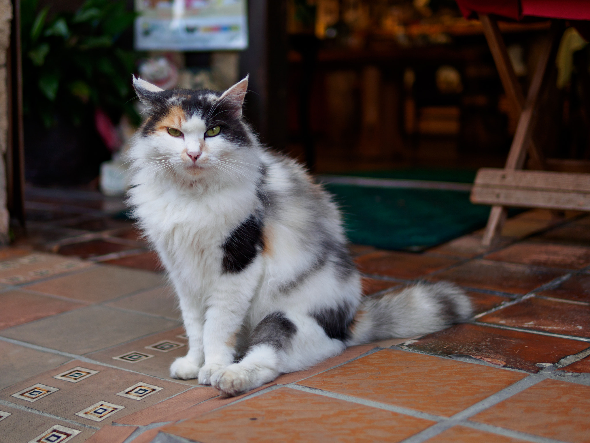Olympus OM-D E-M10 II + Panasonic Leica DG Summilux 25mm F1.4 II ASPH sample photo. Olympus digital camera photography