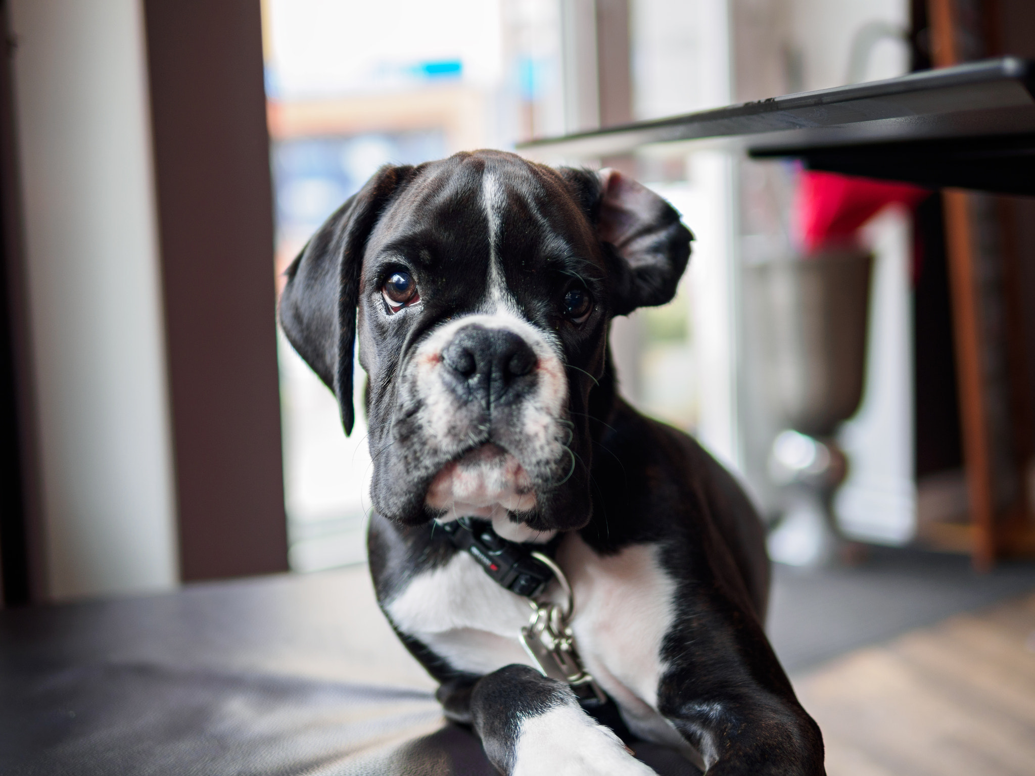 Olympus OM-D E-M10 II + Panasonic Leica DG Summilux 25mm F1.4 II ASPH sample photo. Olympus digital camera photography