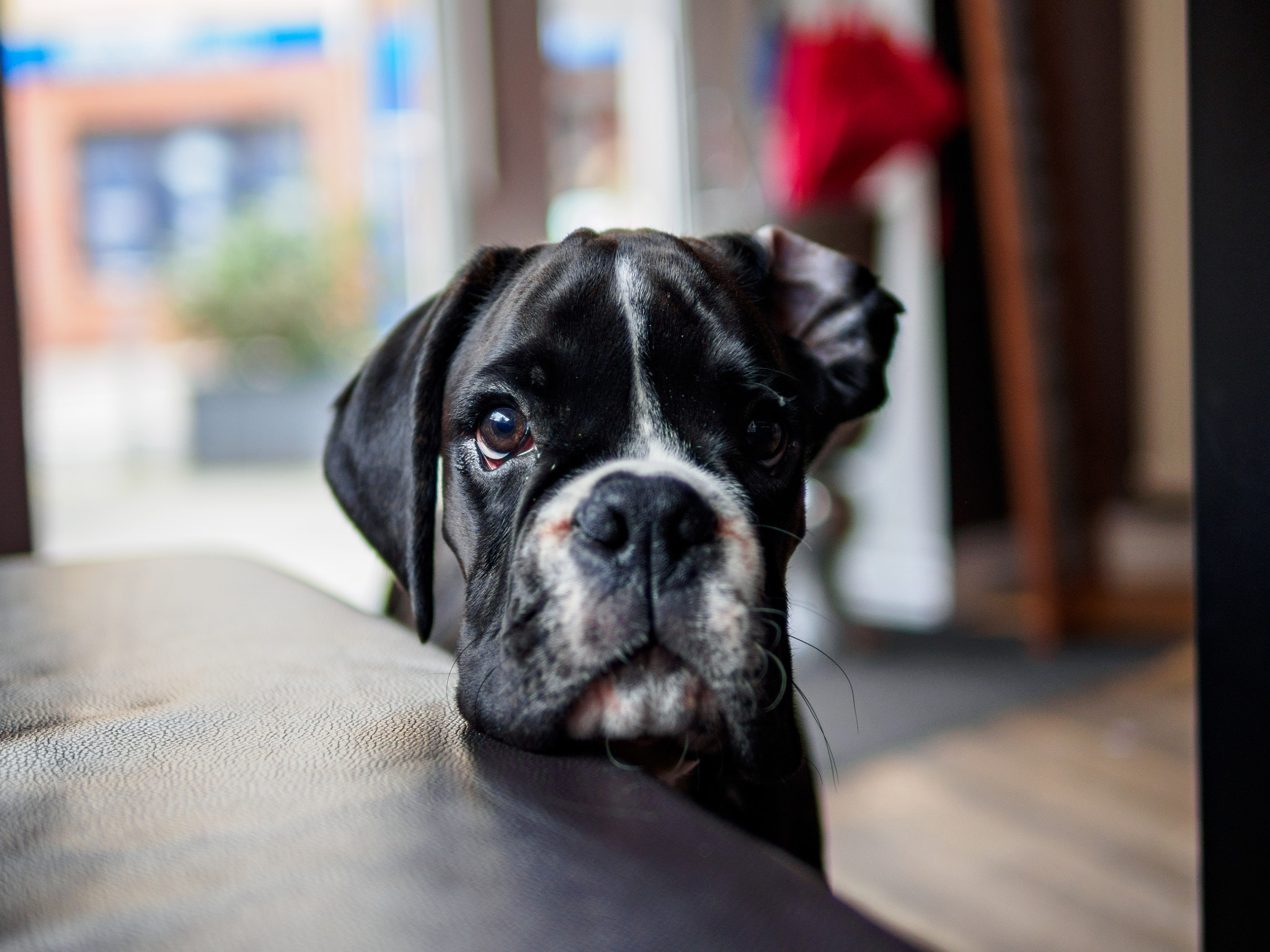 Panasonic Leica DG Summilux 25mm F1.4 II ASPH sample photo. Olympus digital camera photography