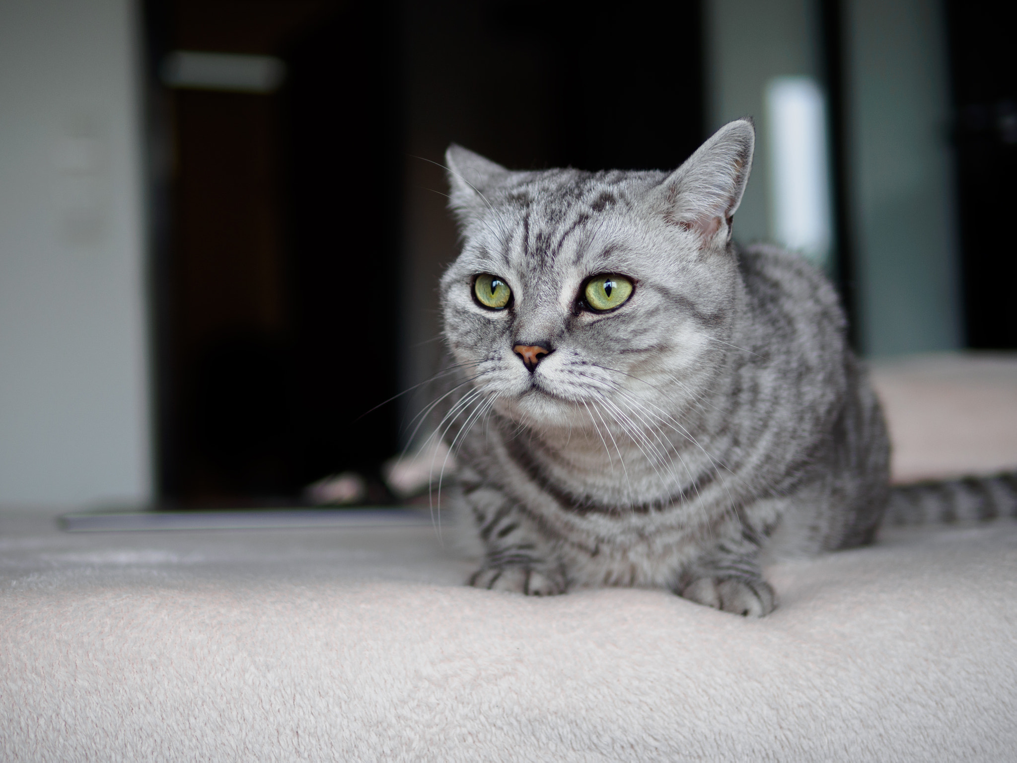 Olympus OM-D E-M10 II + Panasonic Leica DG Summilux 25mm F1.4 II ASPH sample photo. Olympus digital camera photography