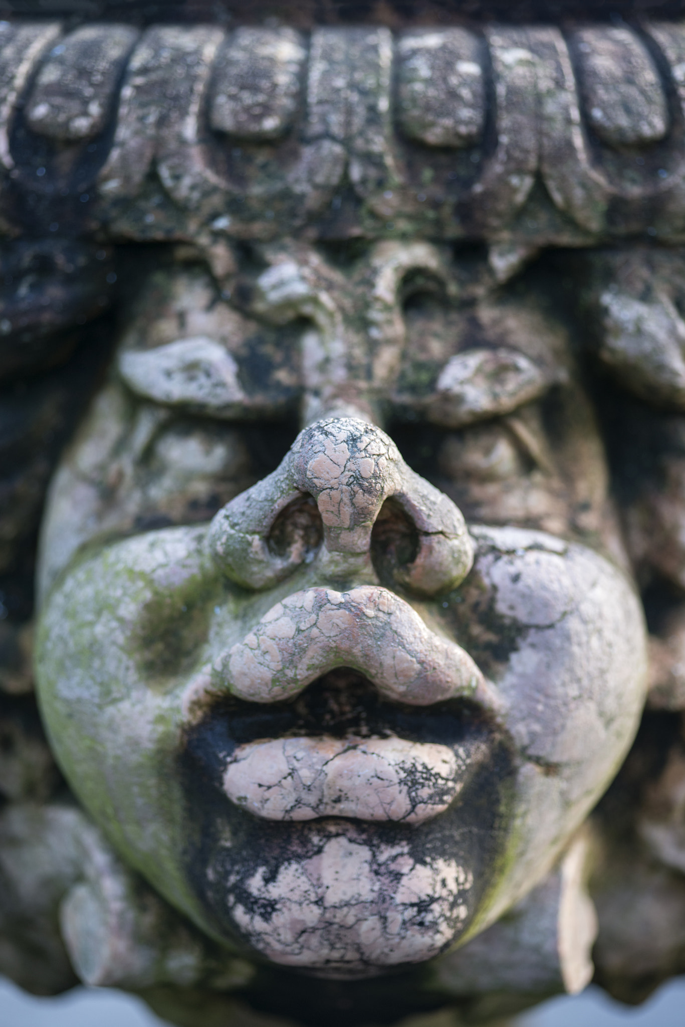 Nikon D800 + Sigma 105mm F2.8 EX DG Macro sample photo. Beautiful close up portrait image of whimsical gargoyle on medie photography