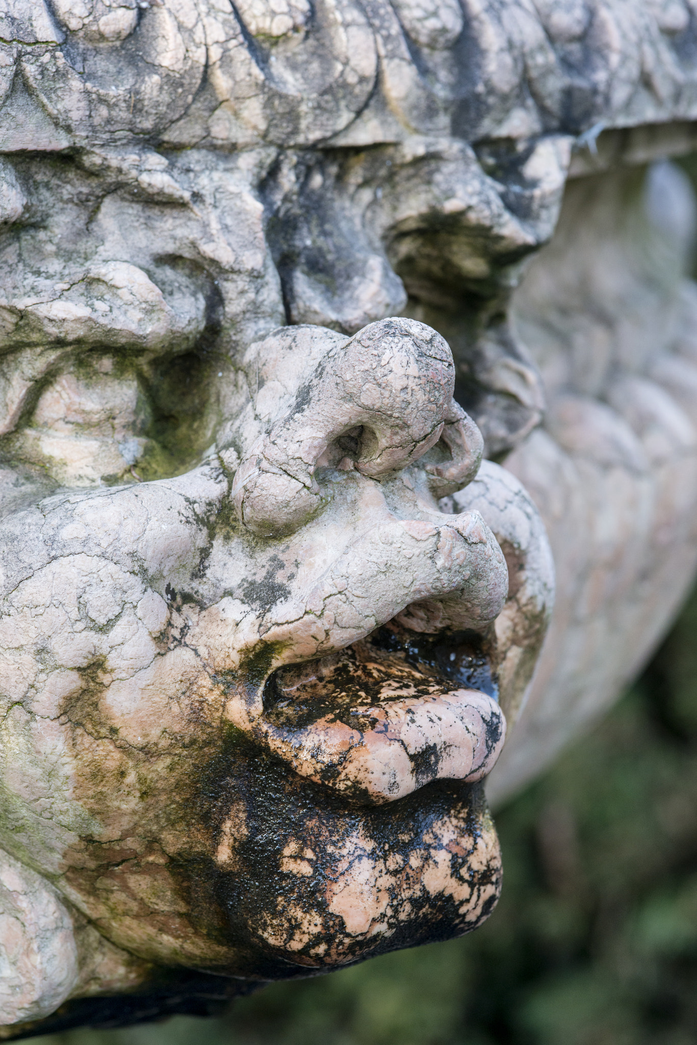 Nikon D800 + Sigma 105mm F2.8 EX DG Macro sample photo. Beautiful close up portrait image of whimsical gargoyle on medie photography