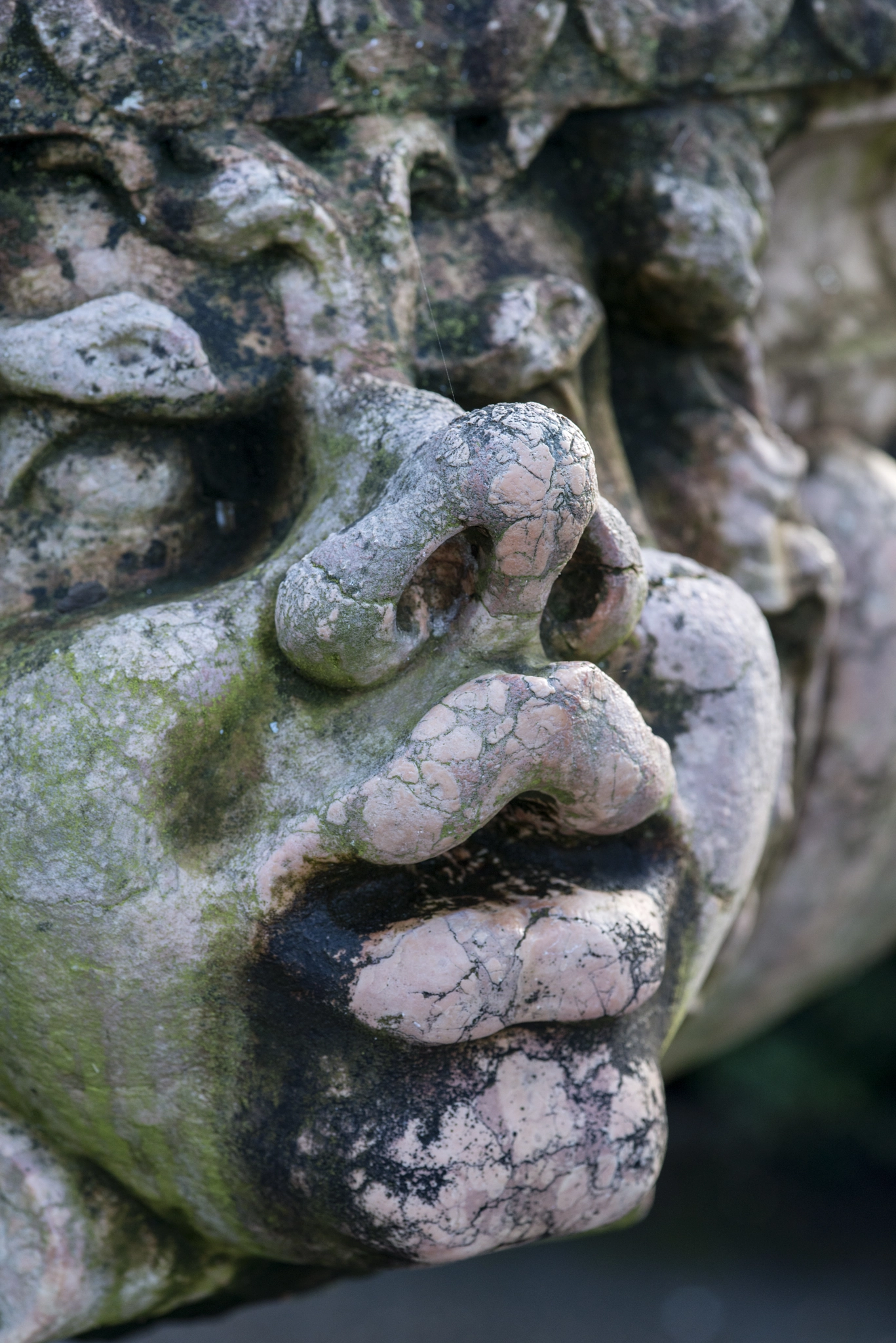Nikon D800 + Sigma 105mm F2.8 EX DG Macro sample photo. Beautiful close up portrait image of whimsical gargoyle on medie photography