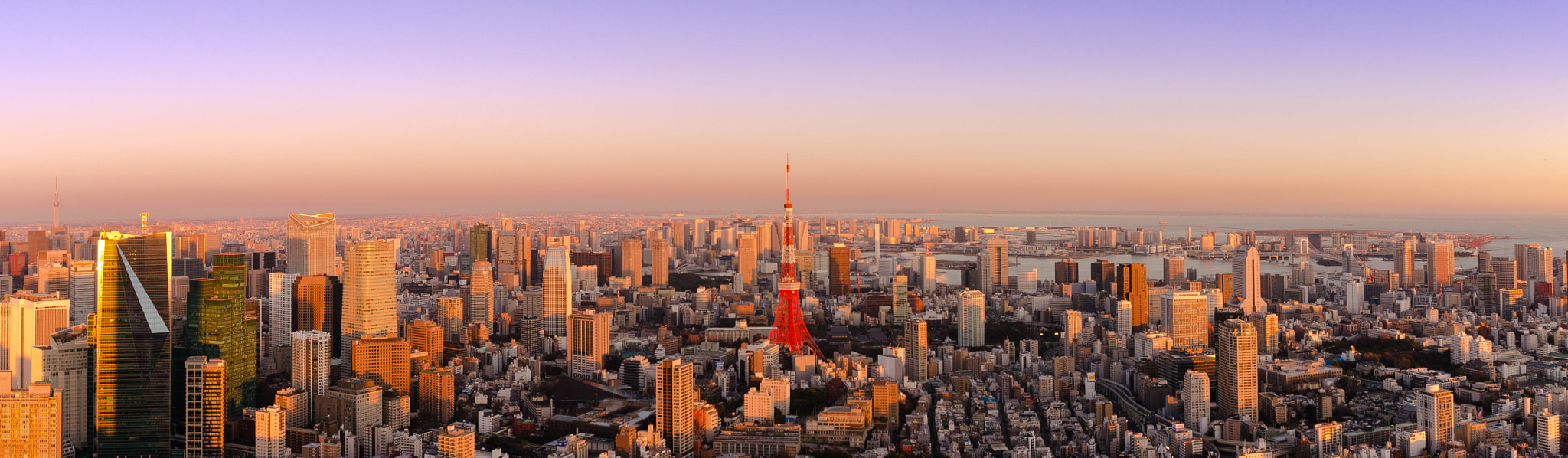 Nikon D5100 + Sigma 10-20mm F3.5 EX DC HSM sample photo. Tokyo city view photography