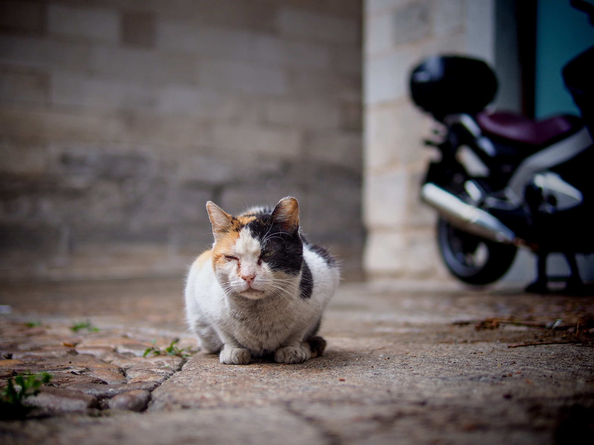 Olympus PEN E-P5 + Panasonic Leica DG Summilux 25mm F1.4 II ASPH sample photo. Toledo photography