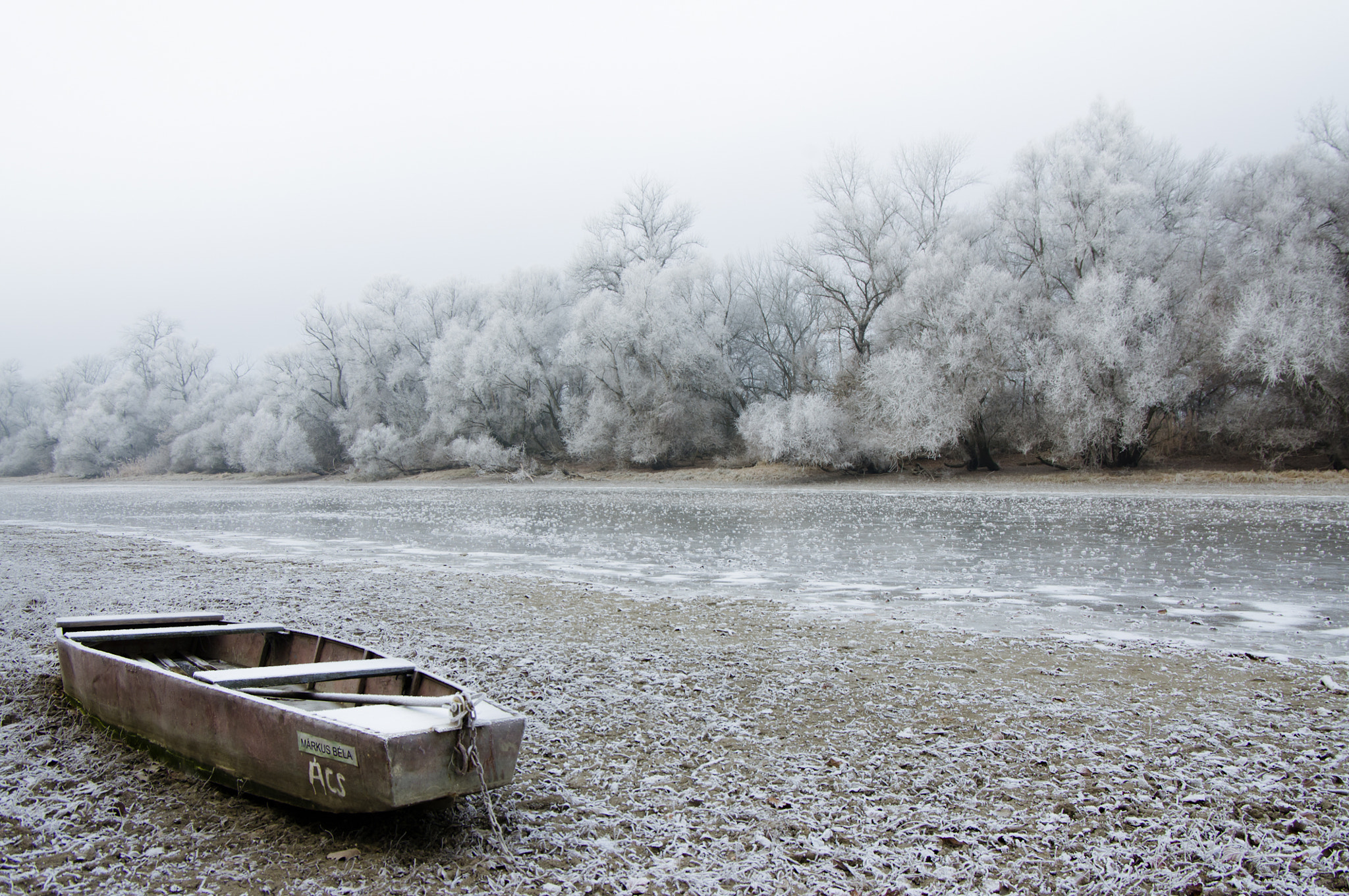 Pentax K-x sample photo. - celsius - photography