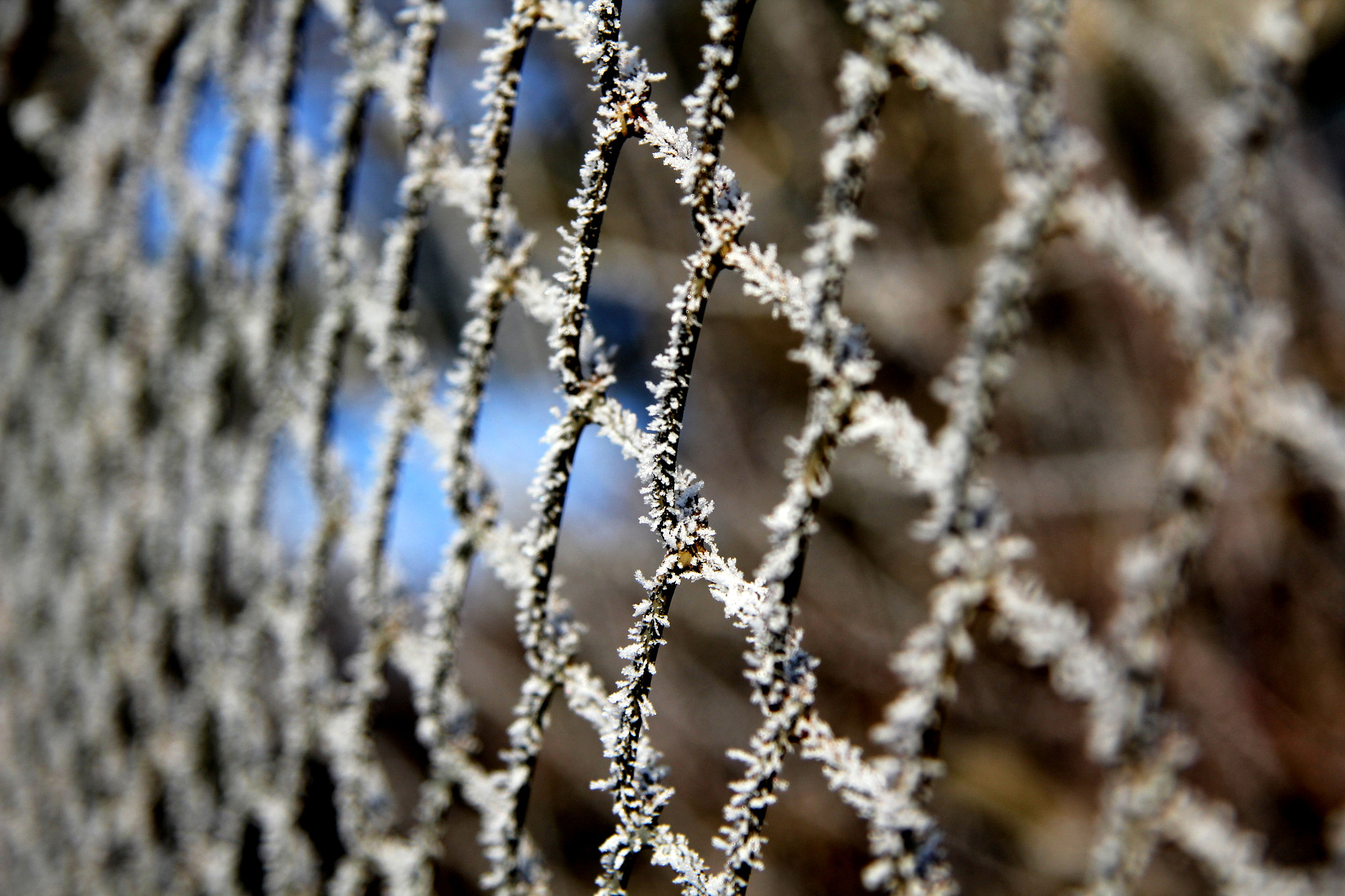 Canon EF-S 17-85mm F4-5.6 IS USM sample photo. Frozen photography