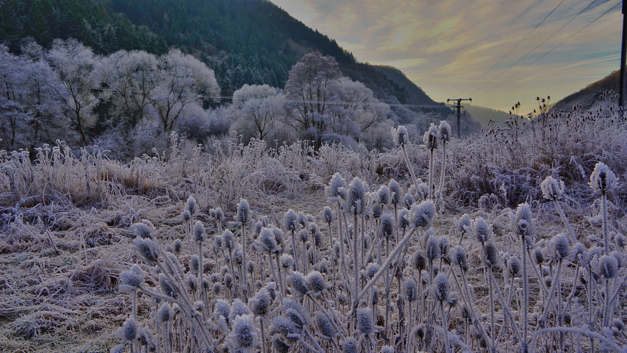 Sony a7R + Sony Vario Tessar T* FE 24-70mm F4 ZA OSS sample photo. Im kesselinger tal photography