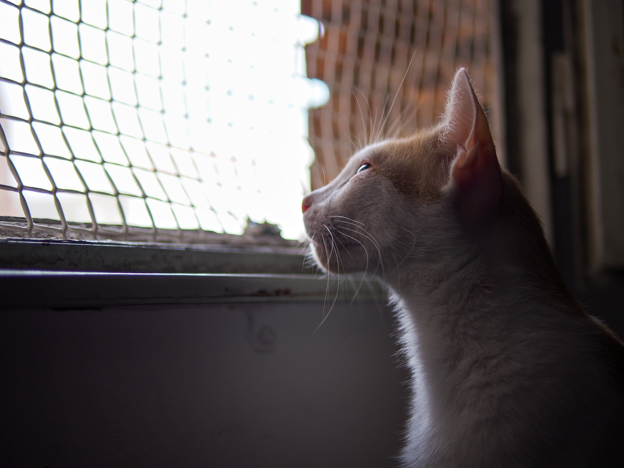 Olympus PEN E-P5 + Panasonic Leica DG Summilux 25mm F1.4 II ASPH sample photo. Madrid photography