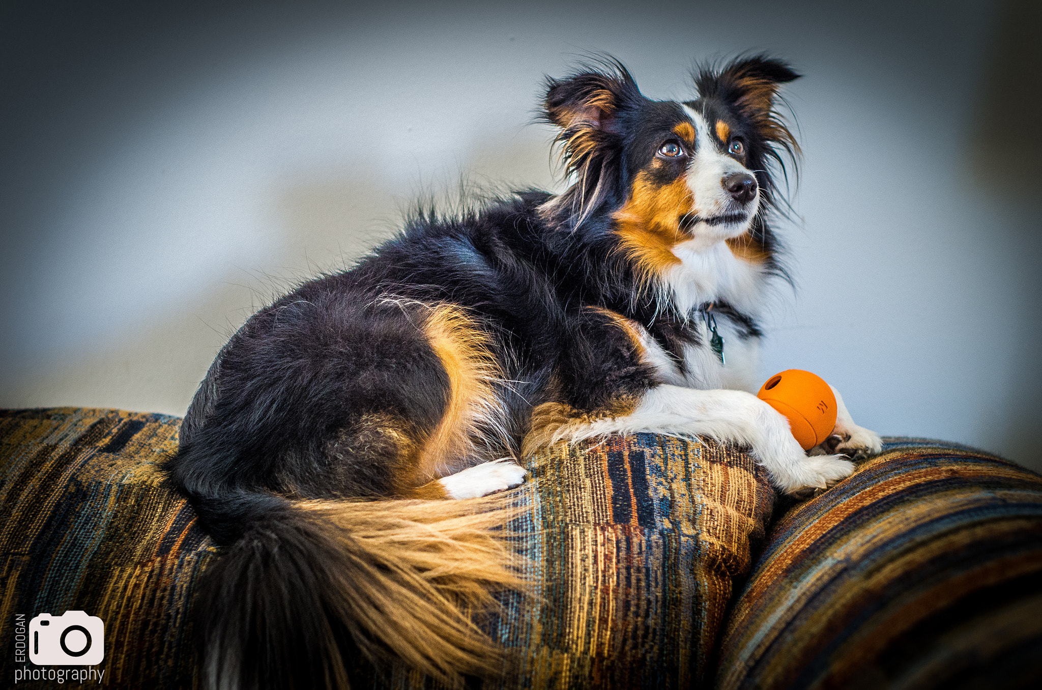 Pentax K-30 + smc PENTAX-F 50mm F1.7 sample photo. Hurley 2 - orange ball photography