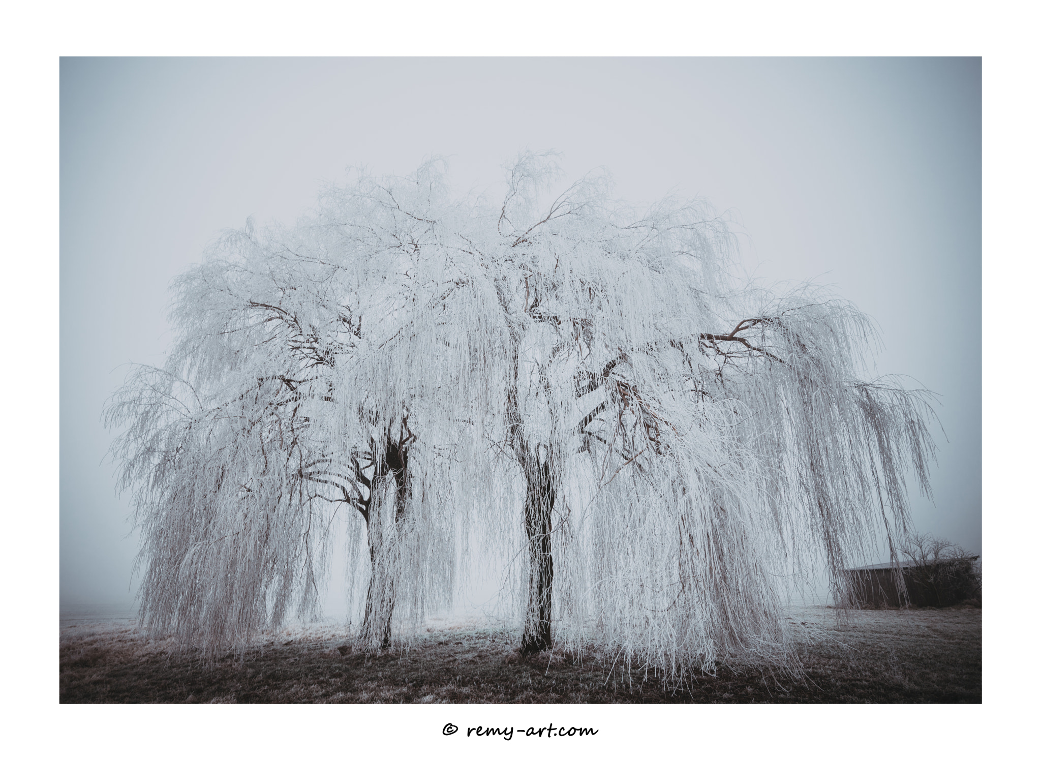 Sony ILCA-77M2 + Sigma 10-20mm F3.5 EX DC HSM sample photo. Cold new year photography