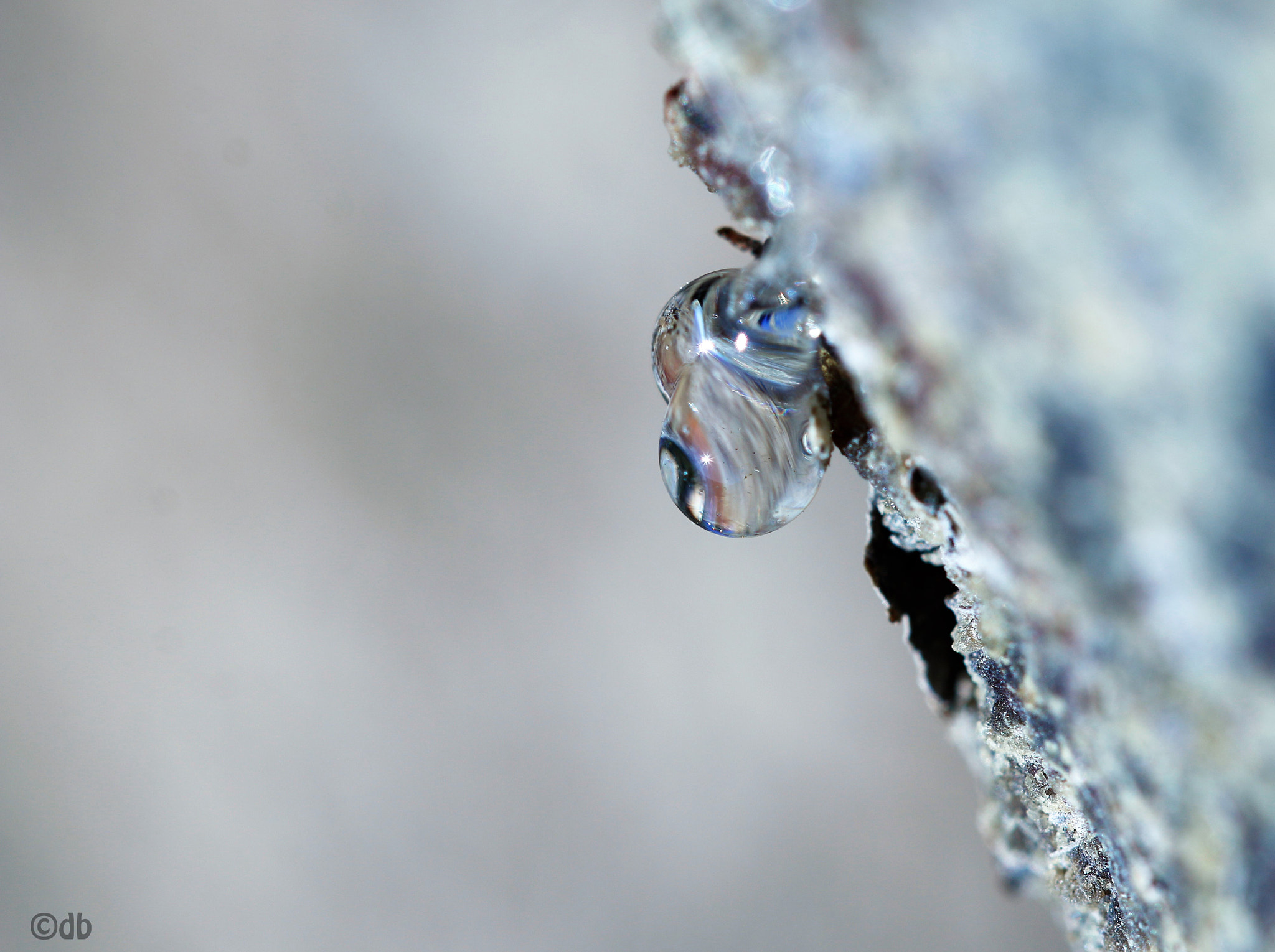 Canon EF 100mm F2.8L Macro IS USM sample photo. Resin drop 2 photography