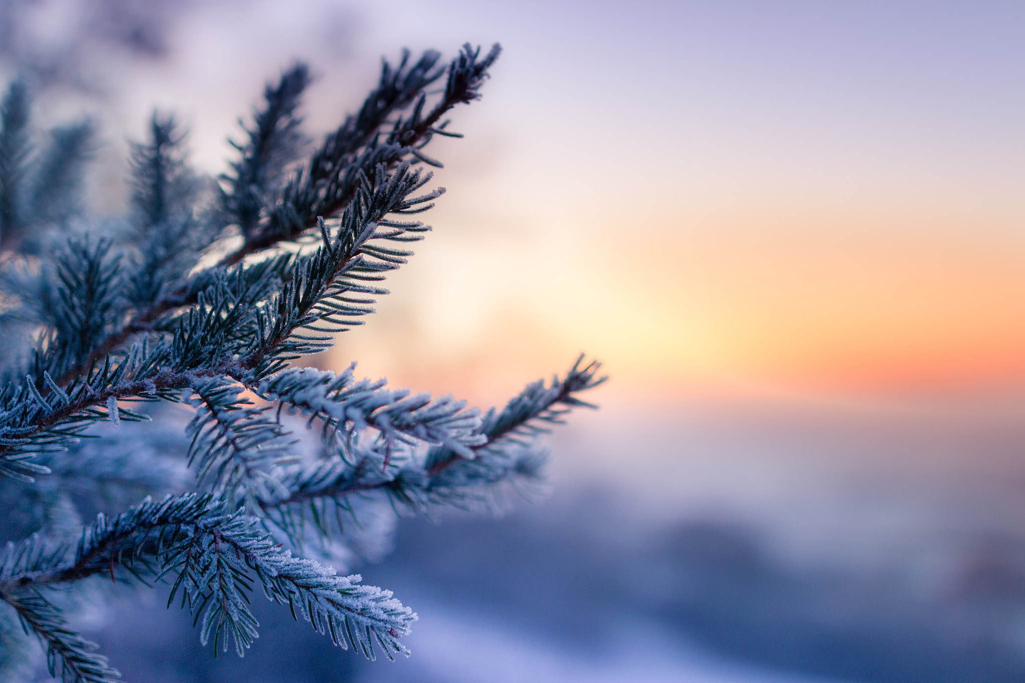 Sigma 24mm F1.4 DG HSM Art sample photo. Frozen sunset.  photography