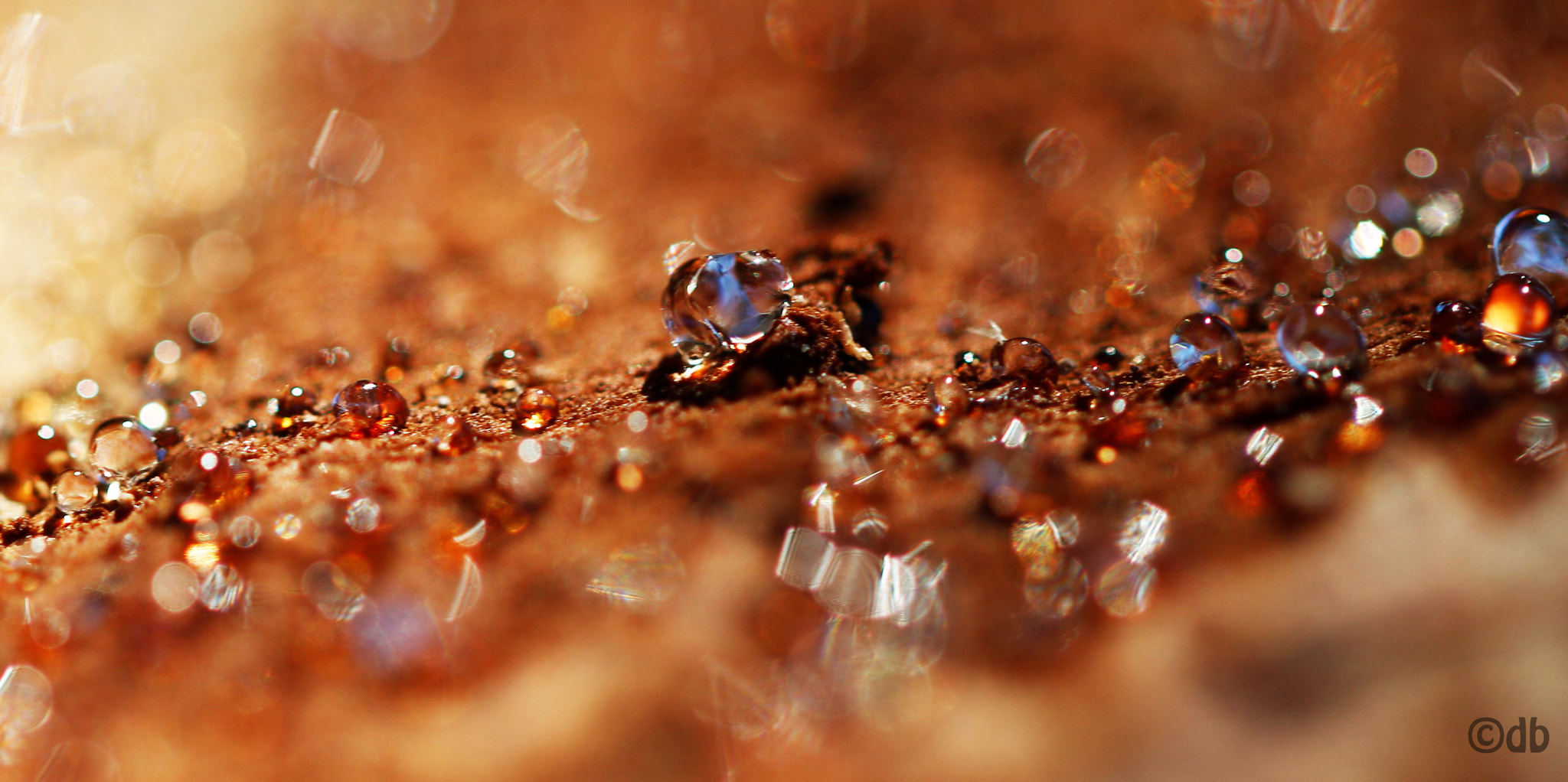 Canon EF 100mm F2.8L Macro IS USM sample photo. Resin drops photography