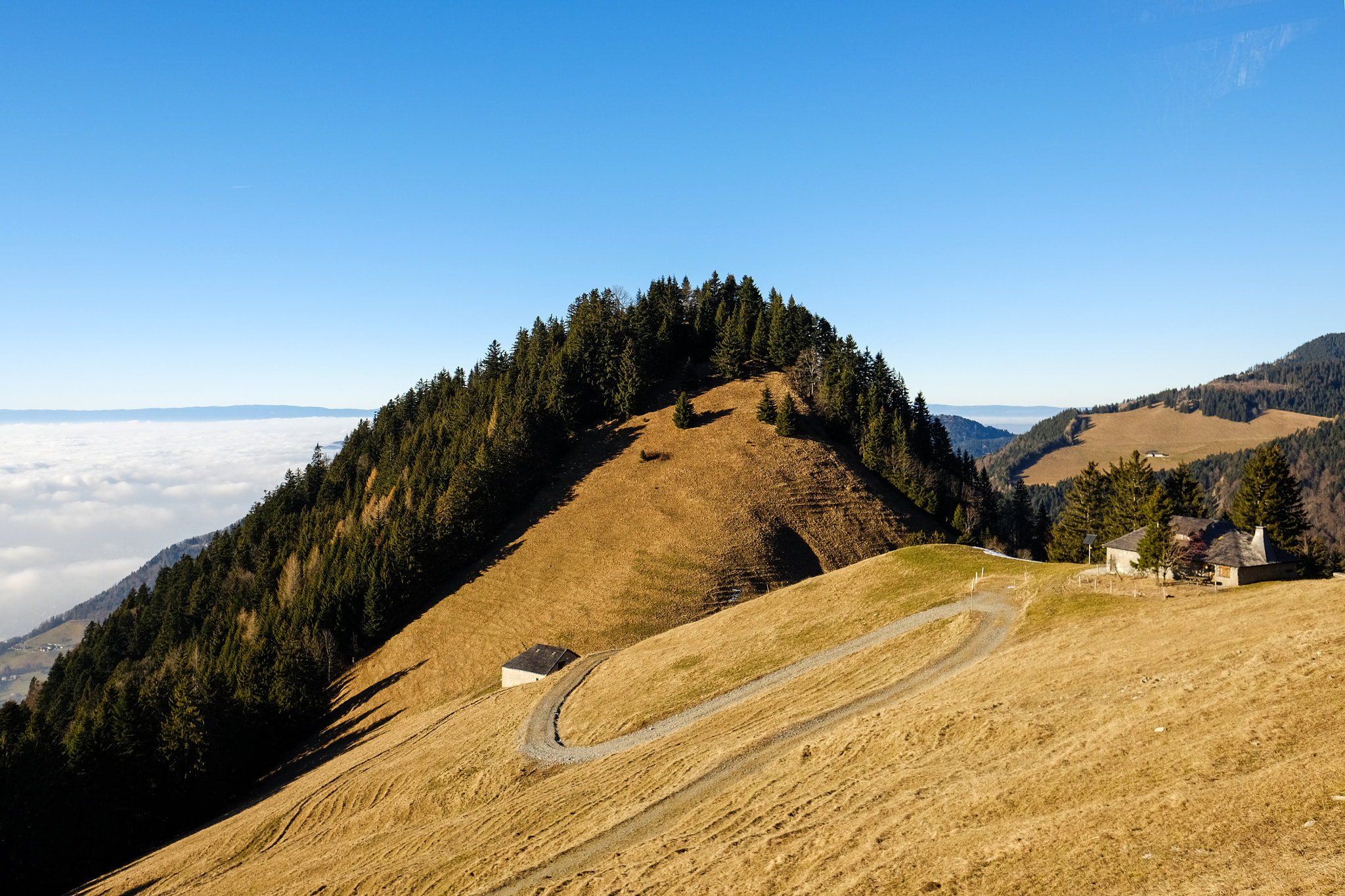 Fujifilm X-T10 + Fujifilm XF 16mm F1.4 R WR sample photo. On the way to rochers de naye photography