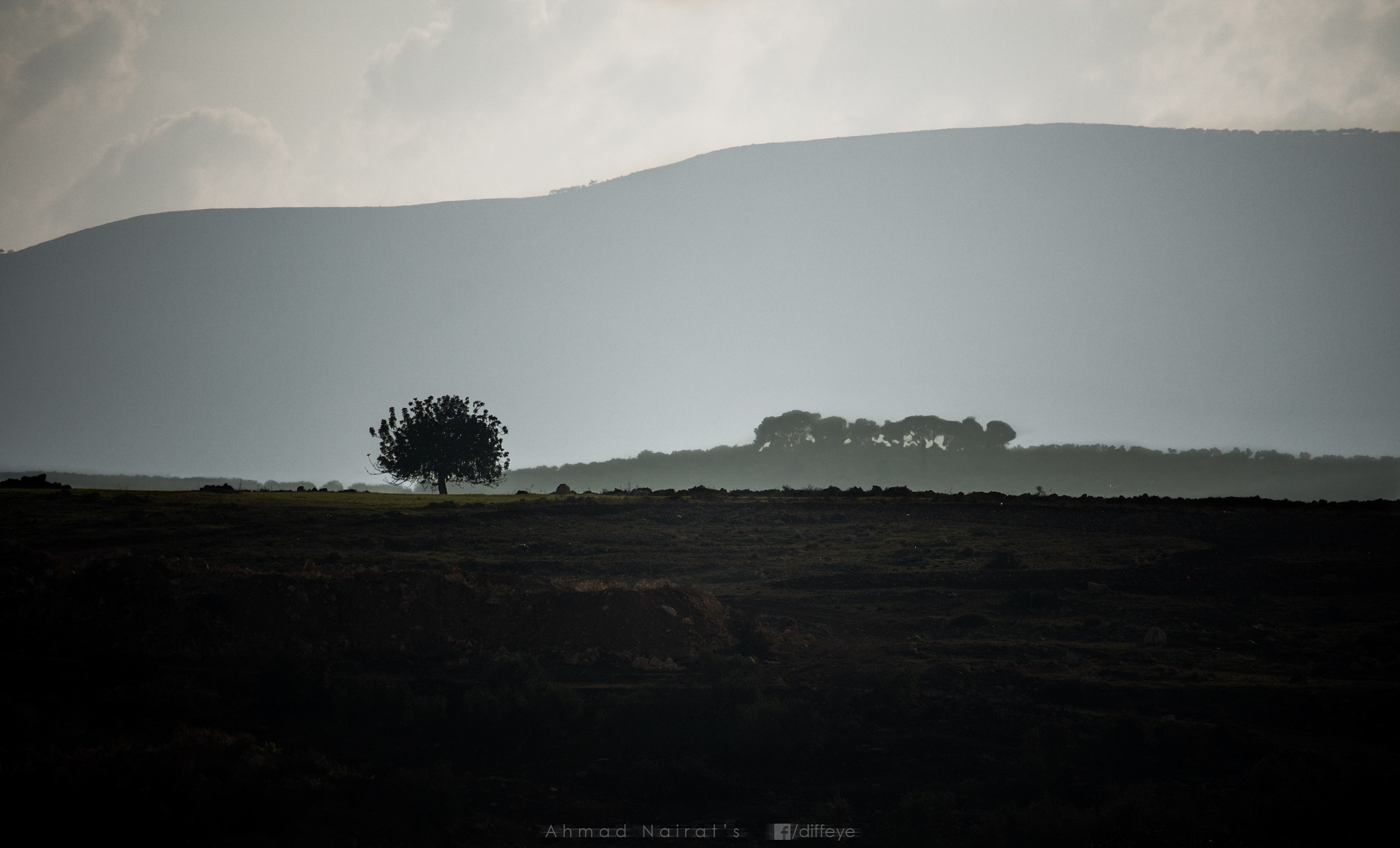 Canon EF-S 55-250mm F4-5.6 IS STM sample photo. Growing up photography