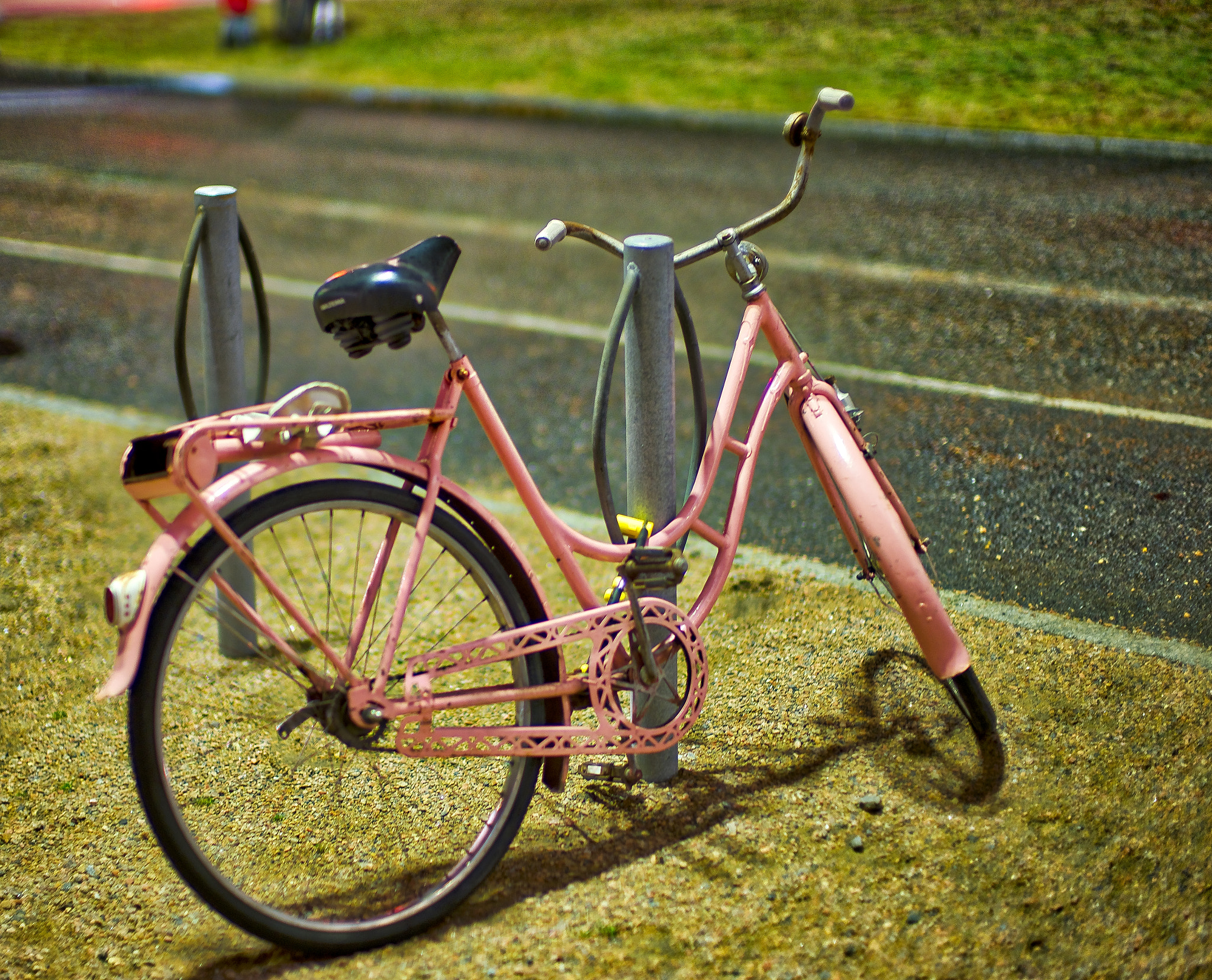 Leica Noctilux-M 50mm F0.95 ASPH sample photo. Pink parking photography