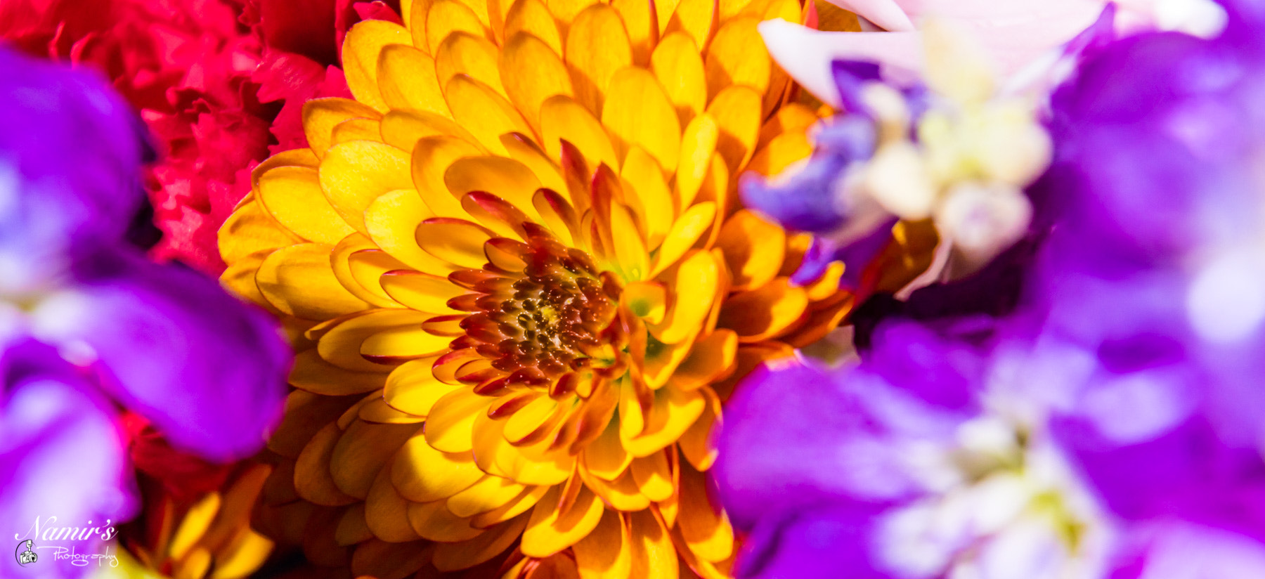 Nikon D500 sample photo. Colorful flowers photography