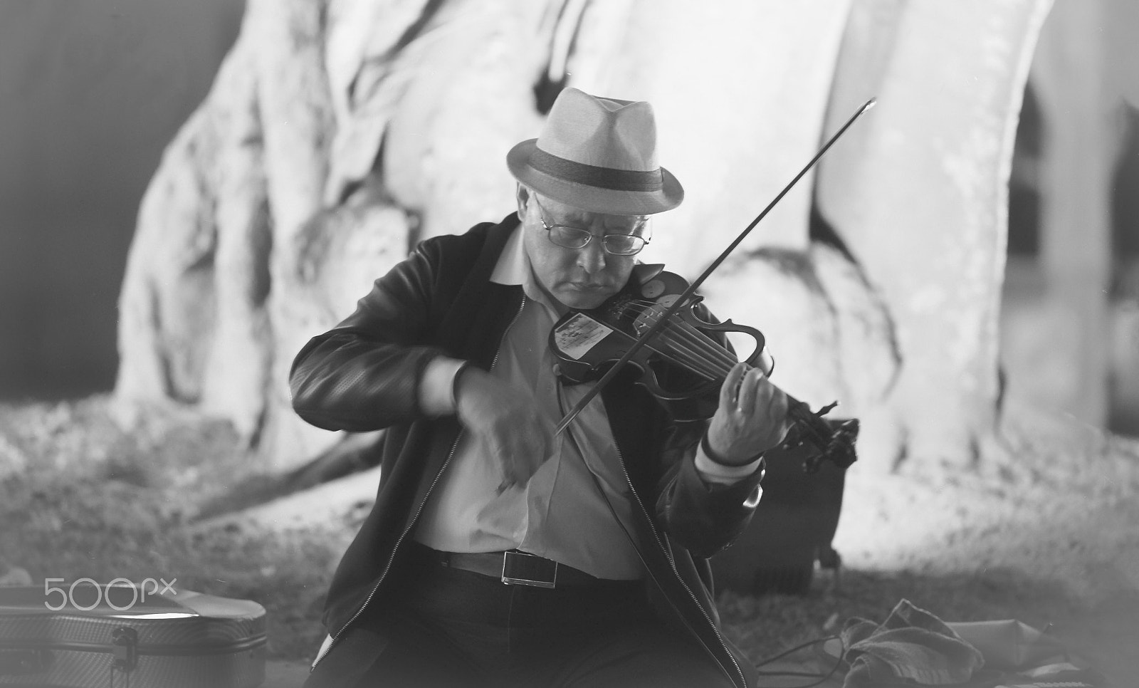 Sony a99 II sample photo. The violinist photography